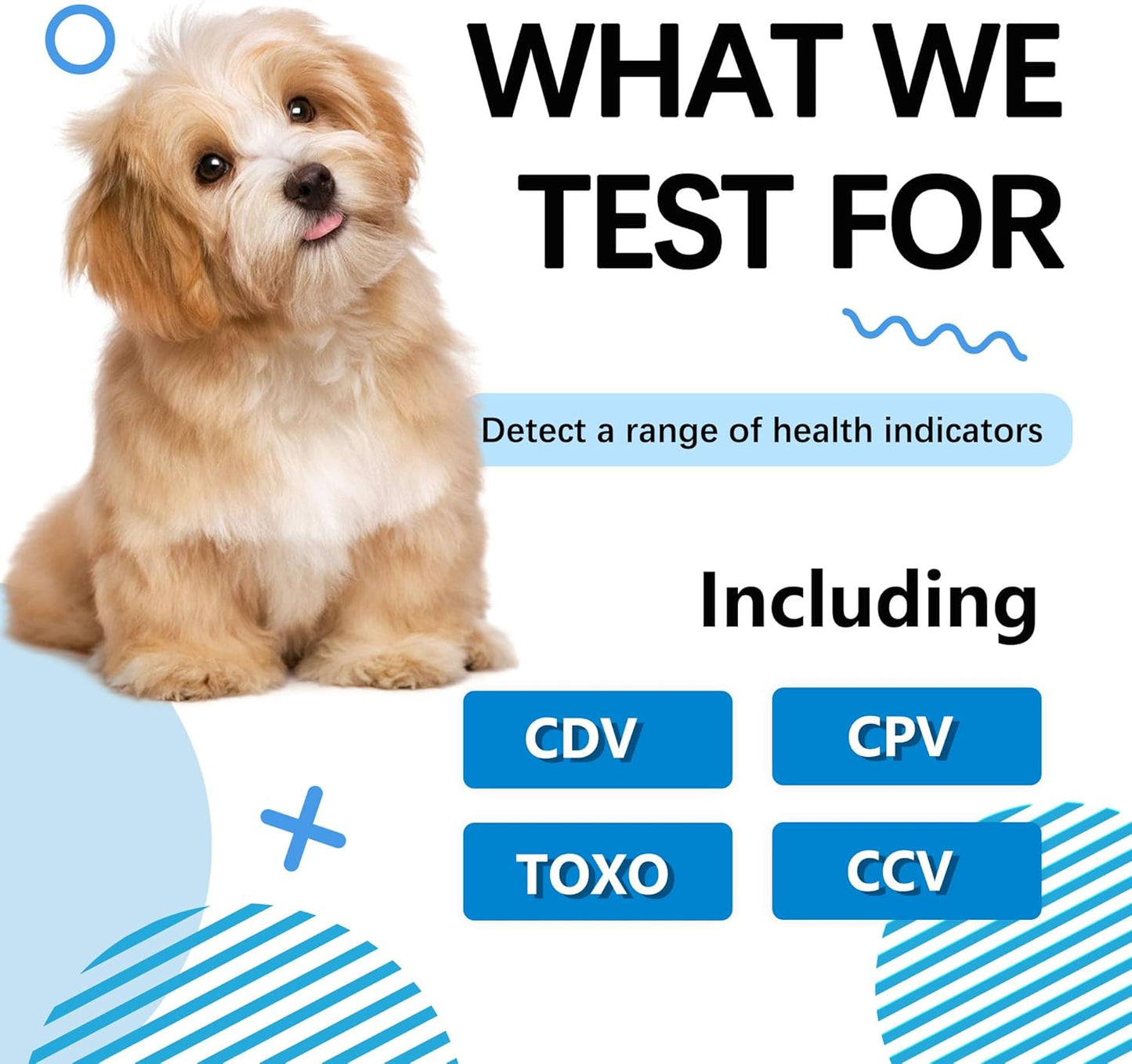 Dog Health Test Kit: 4 Comprehensive Detection Pet Test Strips for Dogs | Pets Rapid At-Home Detection Kits