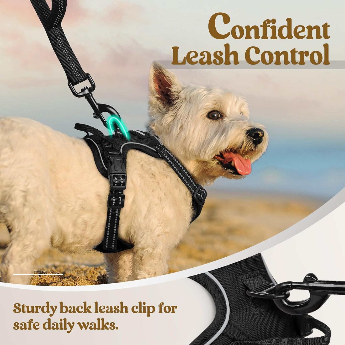 rabbitgoo Dog Harness, No-Pull Pet Harness with 2 Leash Clips, Adjustable Soft Padded Dog Vest, Reflective No-Choke Pet Oxford Vest with Easy Control Handle for Small Dogs, Black, XS