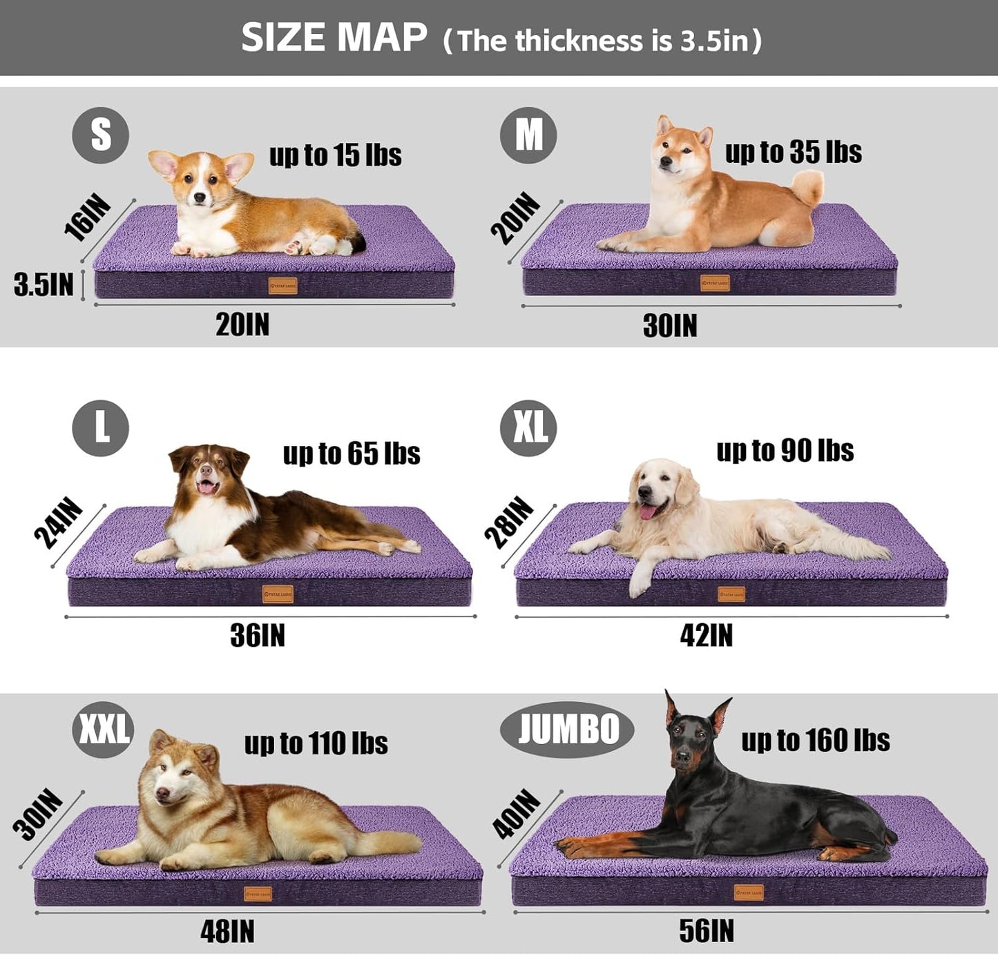 Patas Lague Orthopedic XL Dog Bed for Large Dogs 42''X28''