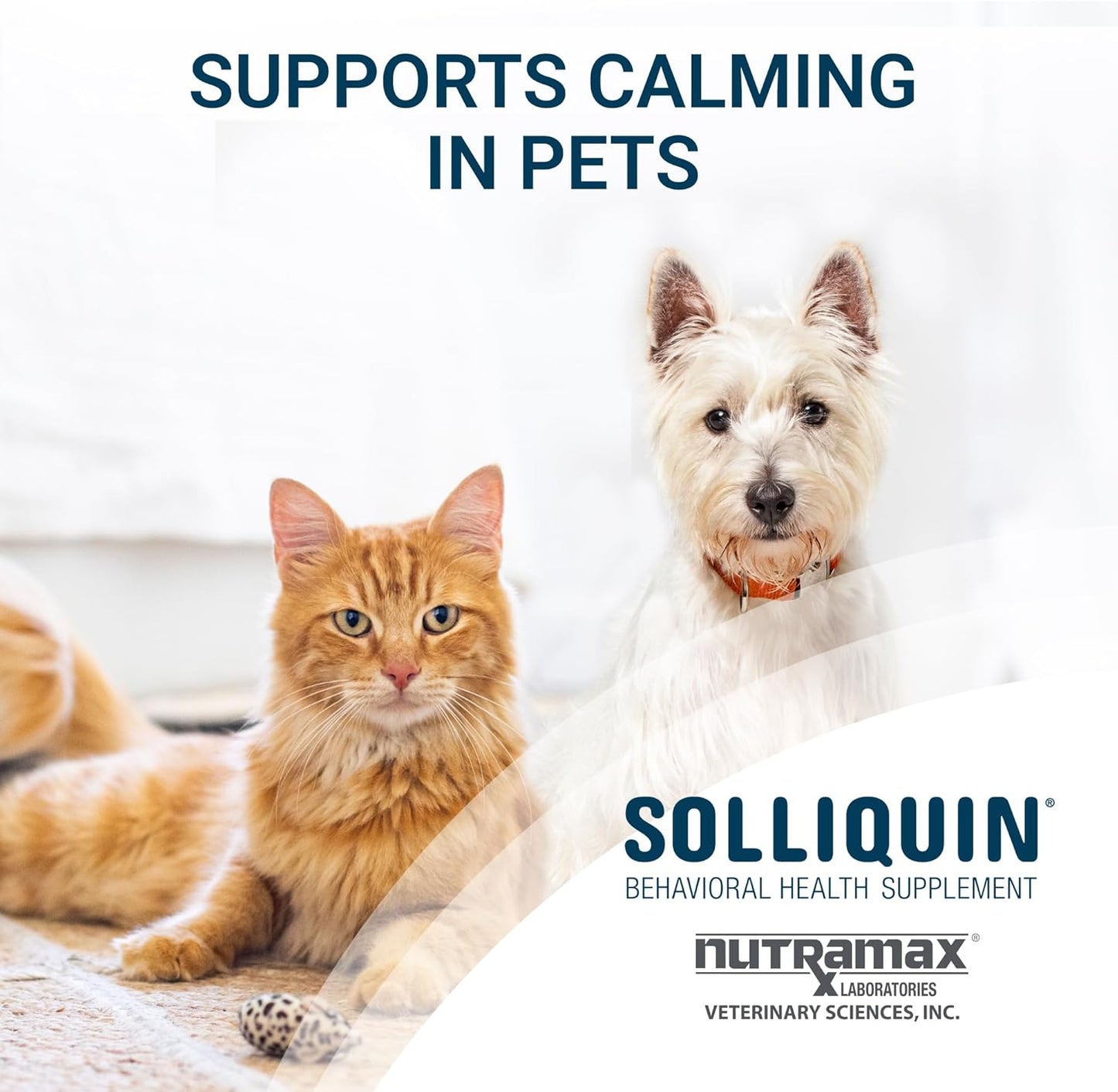 Nutramax Solliquin Calming Behavioral Health Supplement for Small to Medium Dogs and Cats - With L-Theanine, Magnolia / Phellodendron, and Whey Protein Concentrate, 75 Soft Chews