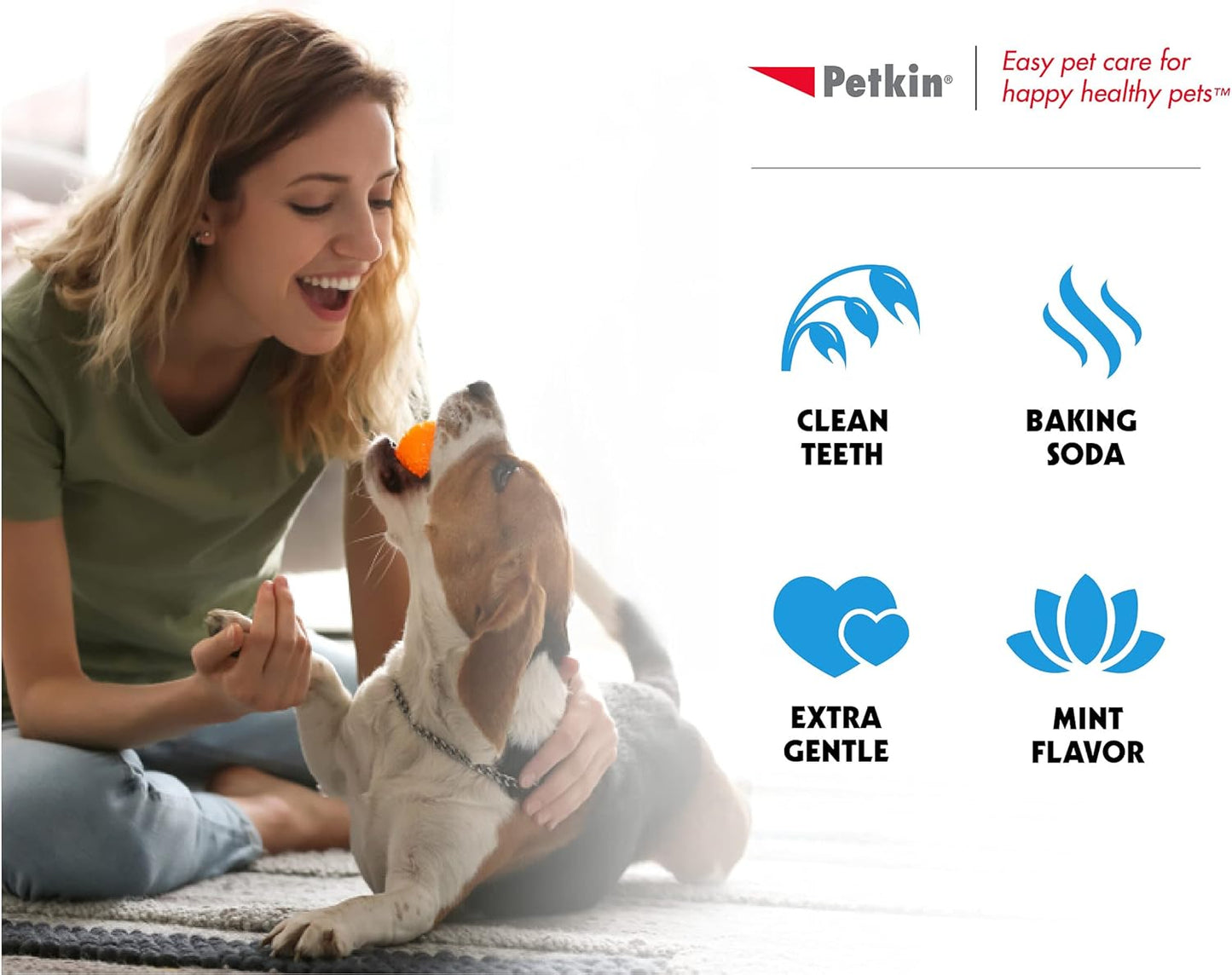 Petkin Cat and Dog Dental Wipes, 80 Wipes (Fresh Mint) (80 Wipes Total)