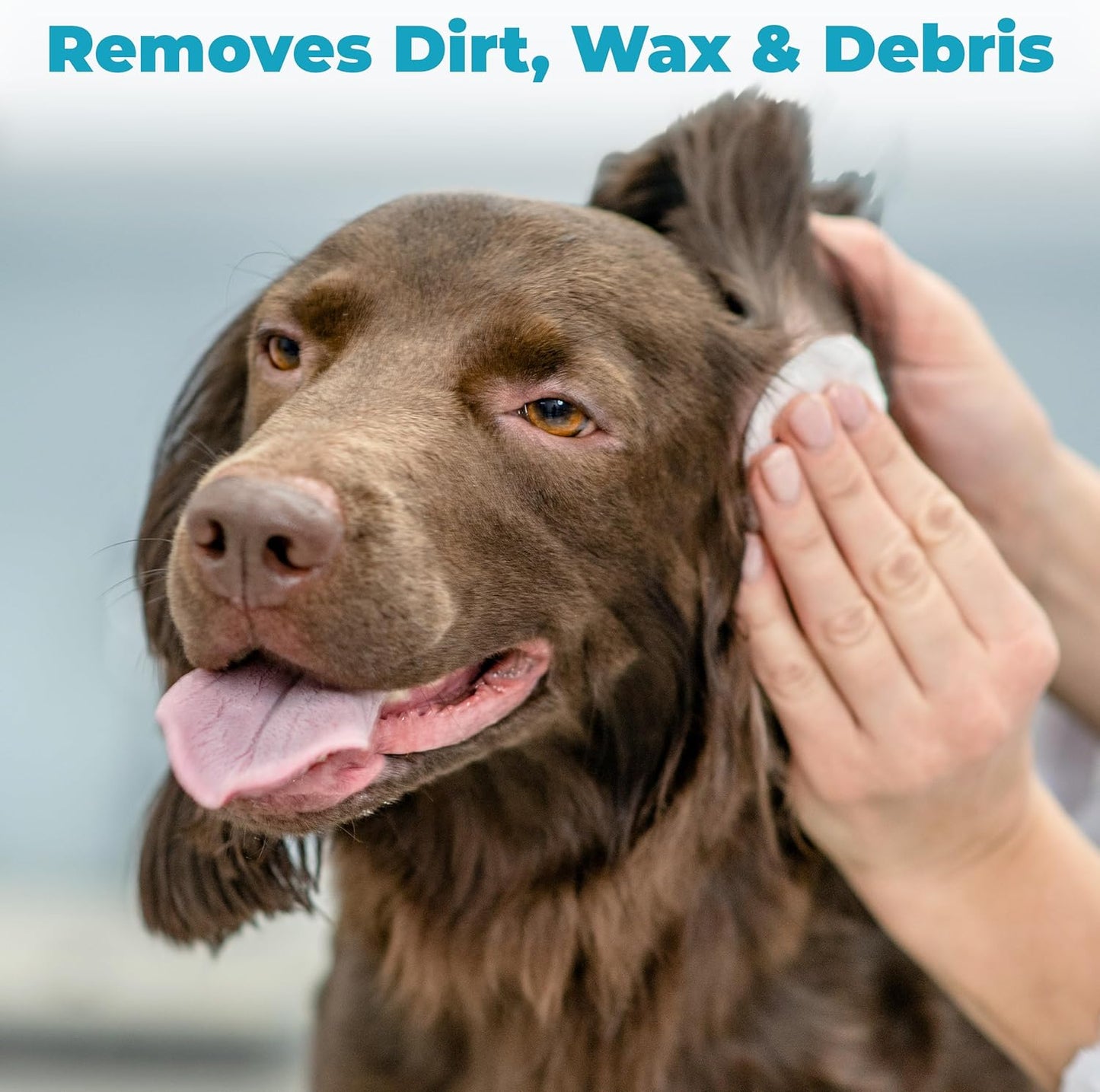 EarWELL by VetWELL Dog Ear Wipes - Otic Cleaning Wipes for Infections - 100 Count