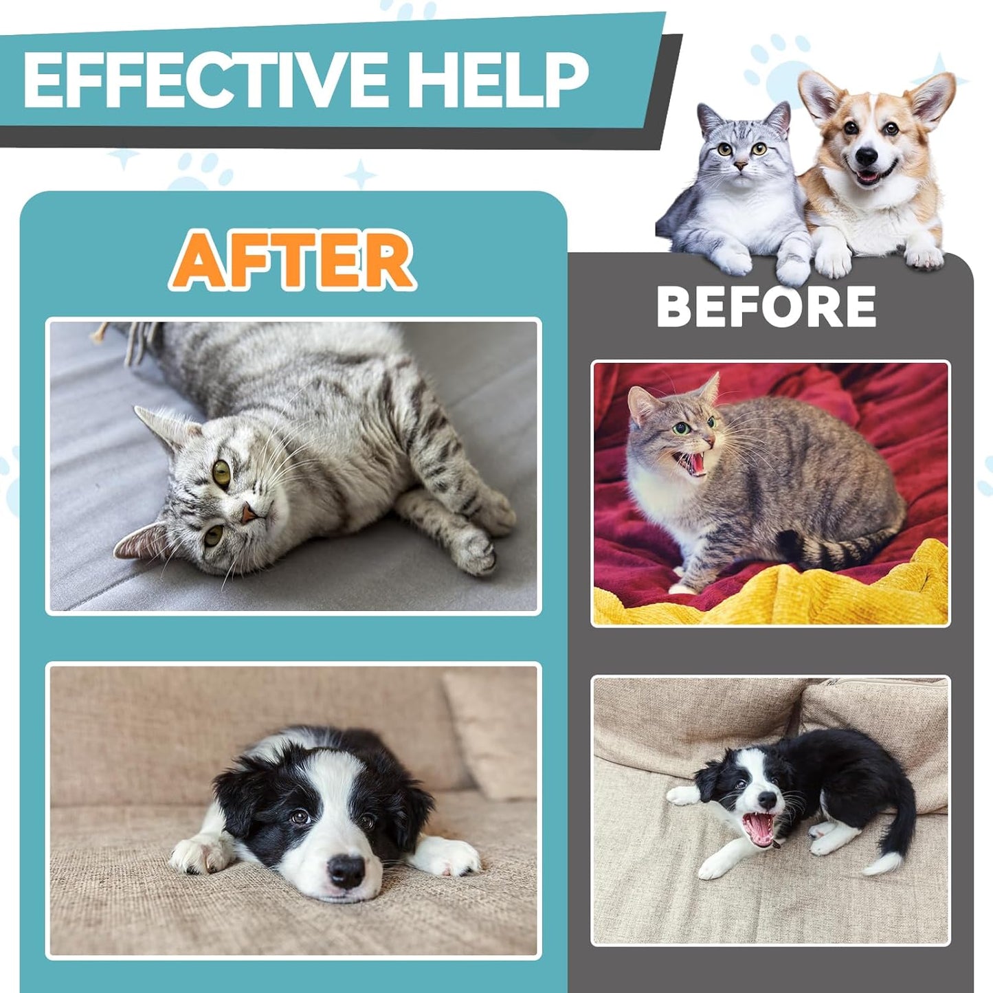 Melatonin for Pets, Dog Melatonin, Dog Sleep Supports, Liquid for Cats, Supports Relaxation Dogs & Cat, Calm Behavior in Dogs, Helps Restful Sleep, Chicken Flavor 60m