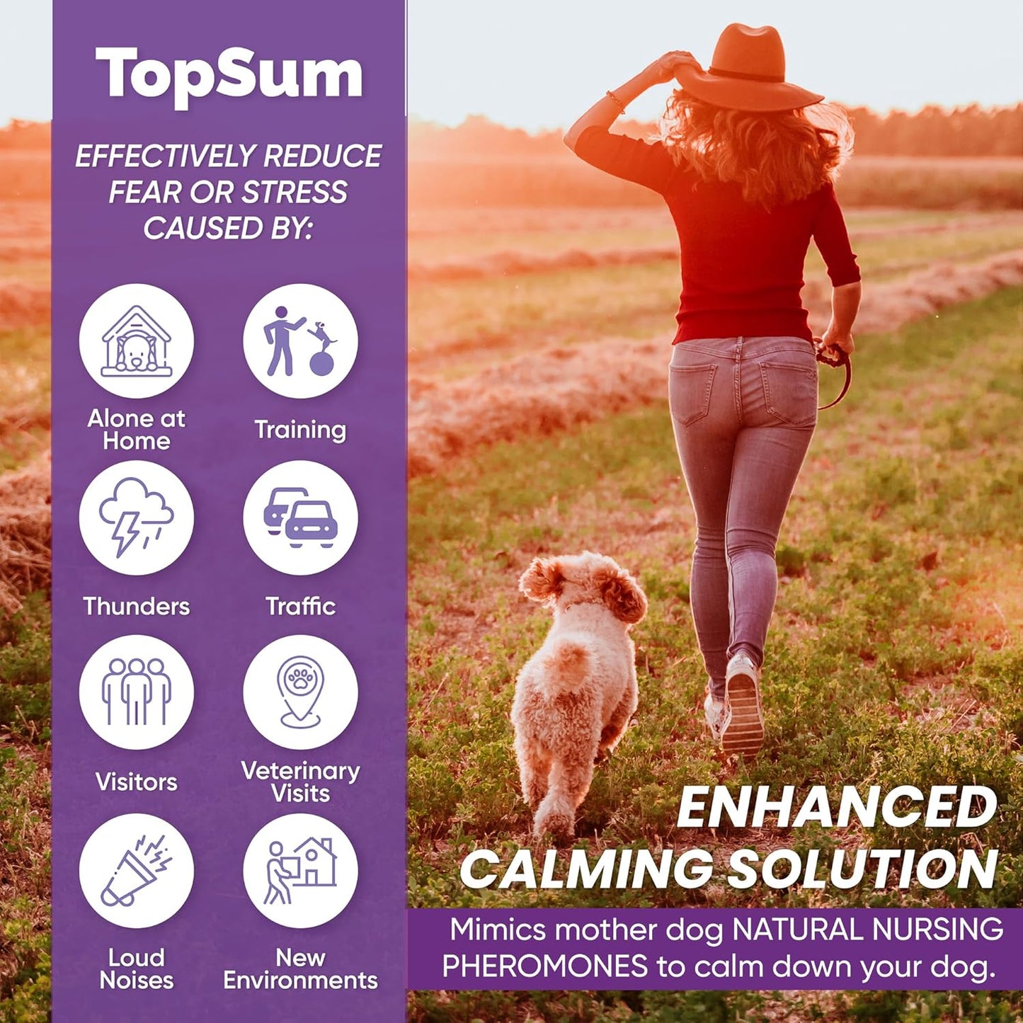 Pheromone Diffuser for Dogs: Premium Dog Calming Diffuser 2 Pack (Purple)