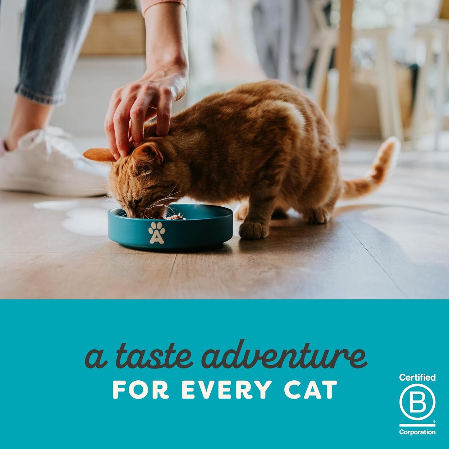 Applaws 100% Natural Wet Cat Food Tuna Fillet with Salmon in Broth, Limited Ingredients Pet Food 70g Pouch (Pack of 16)