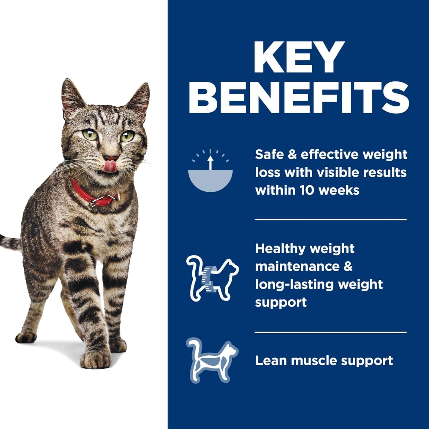 Hill's Science Diet Dry Cat Food