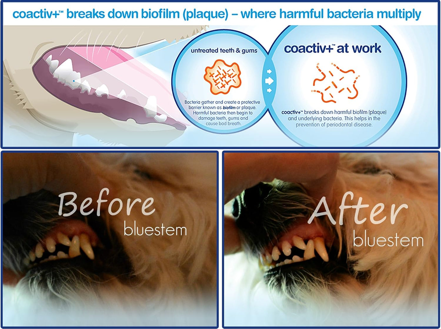 Pet Water Additive Oral Care: for Dogs & Cats Bad Breath, Dental Rinse Freshener Treats Plaque & Teeth Tartar. Dog & Cat Mouth Clean Health Treatment for Pets Drinking Bowl