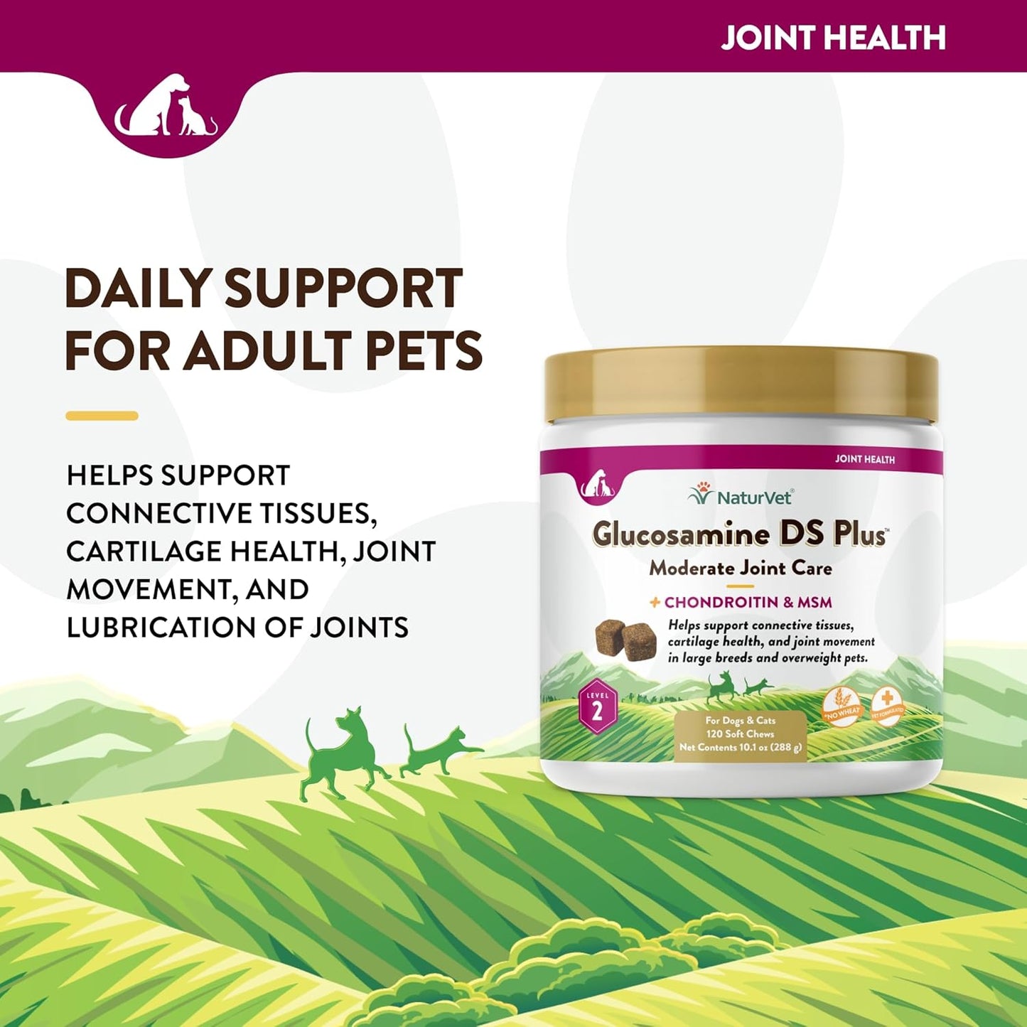 NaturVet Glucosamine DS Plus Level 2 Moderate Joint Care for Dogs and Cats, 120 ct Soft Chews, Made in USA