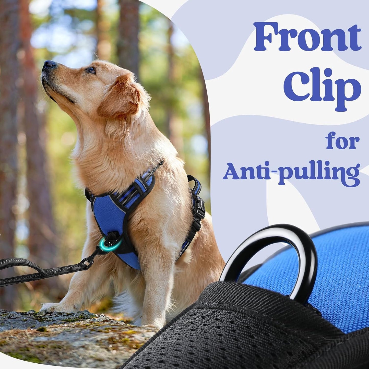 rabbitgoo Dog Harness Medium Sized, No Pull Pet Harness with 3 Buckles, Blue, M