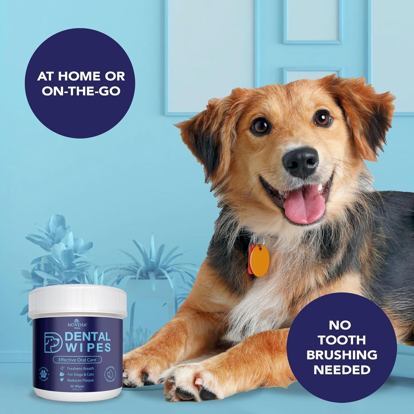 NOVEHA Pets Dental Finger Wipes for Dogs & Cats (50 pcs, Flavor-Free)