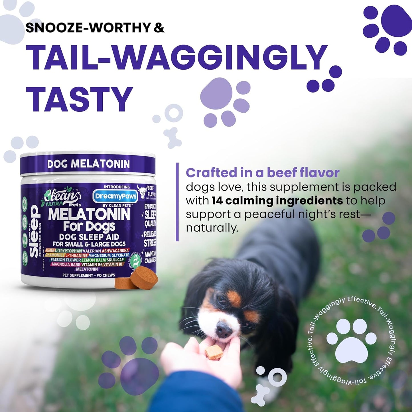 Dreamy Paws Melatonin for Dogs Dog Calming Sleep Supplement