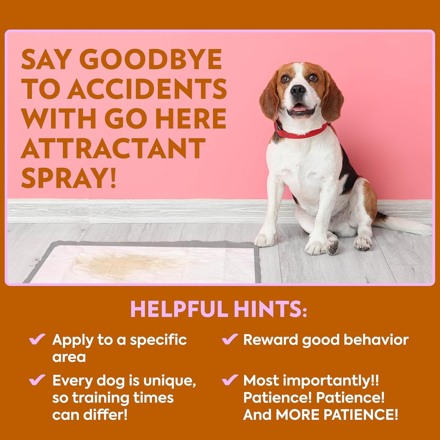 OUT! PetCare Go Here Attractant Indoor and Outdoor Dog Training Spray | House-Training Aid for Puppies and Dogs | 32 oz