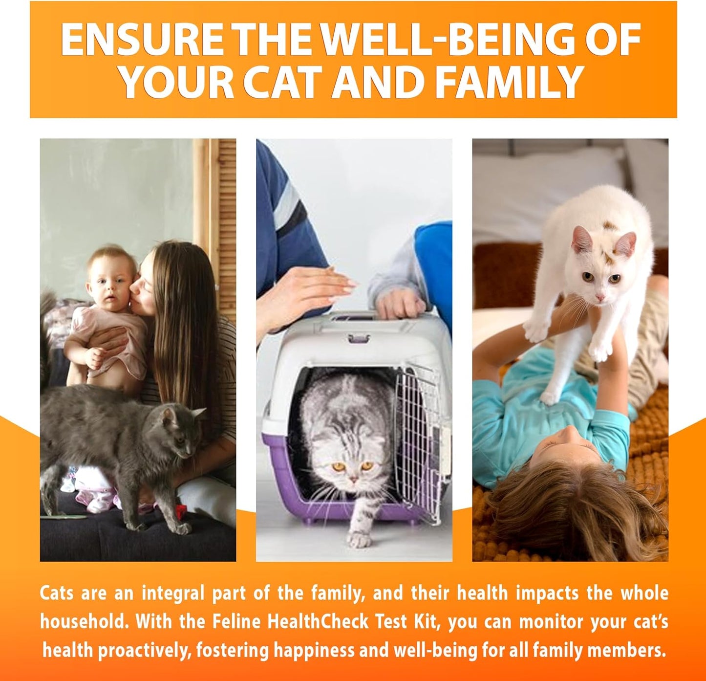 Feline/Cat HealthCheck 4-in-1 Test Kit ,Reliable Detection of Common Cats Illnesses ,Quick and Easy at-Home Testing