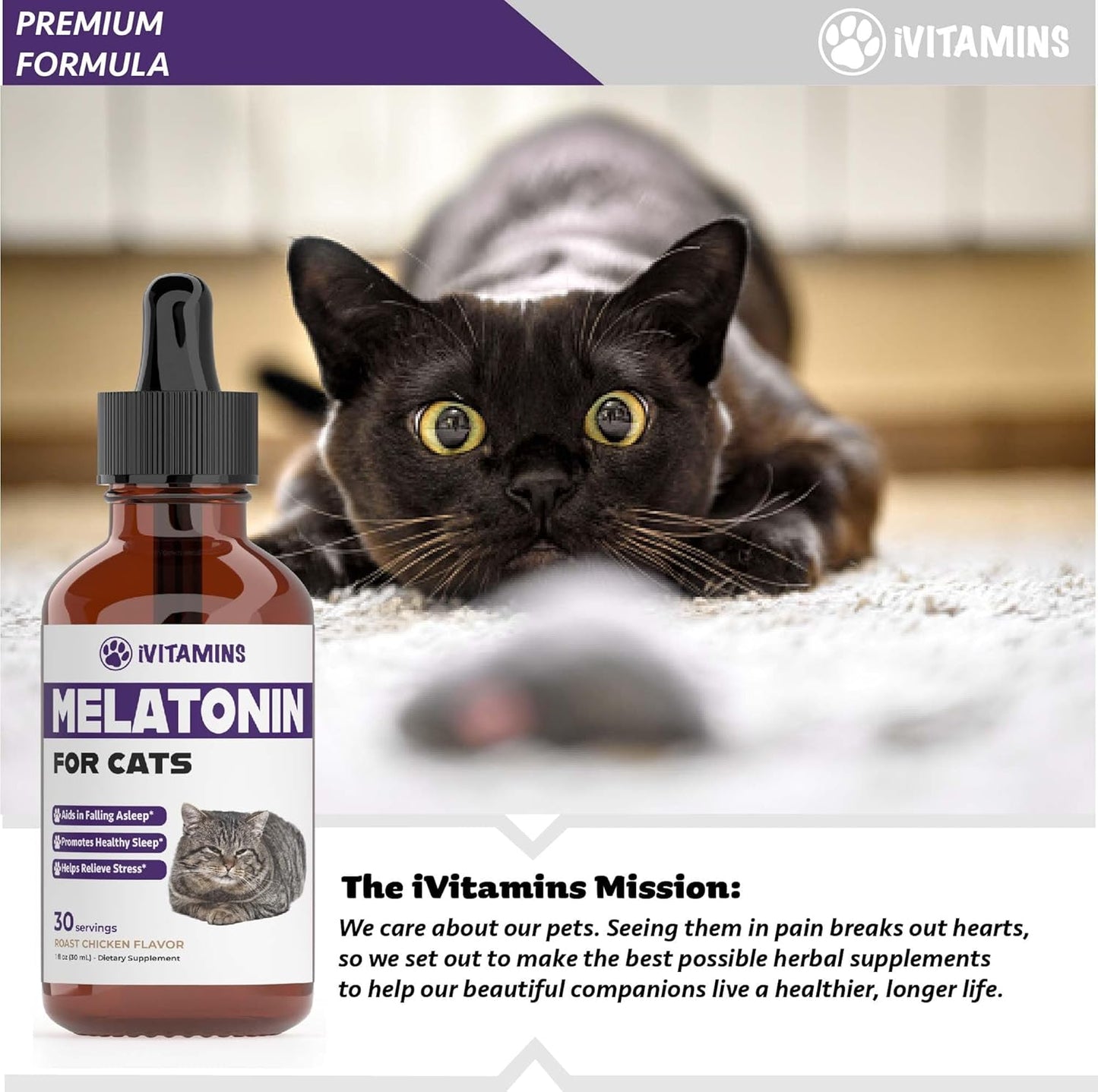 Melatonin for Cats | Supports Healthy, Restful Sleep for Your Cat | Cat Stress Relief | 1 fl oz