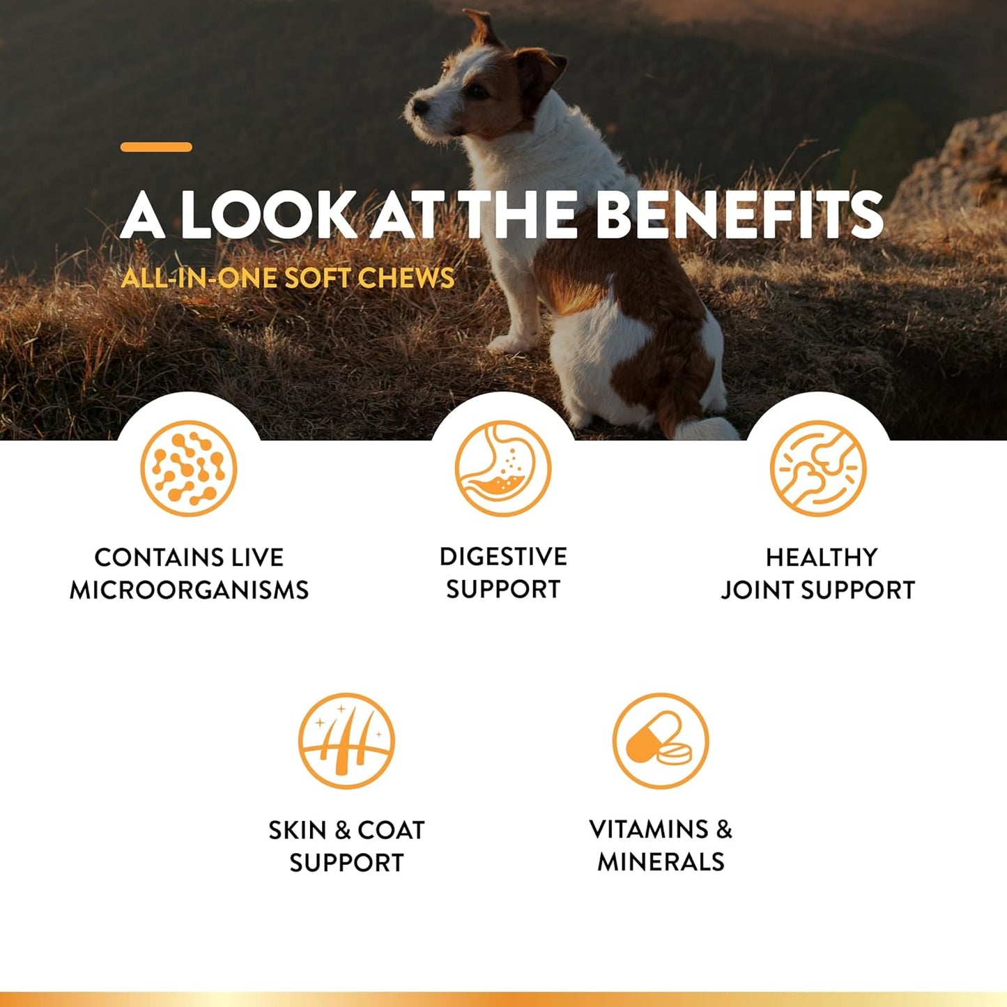 NaturVet All-in-One 4-IN-1 Support for Dogs, 120 ct Soft Chews, Made in USA