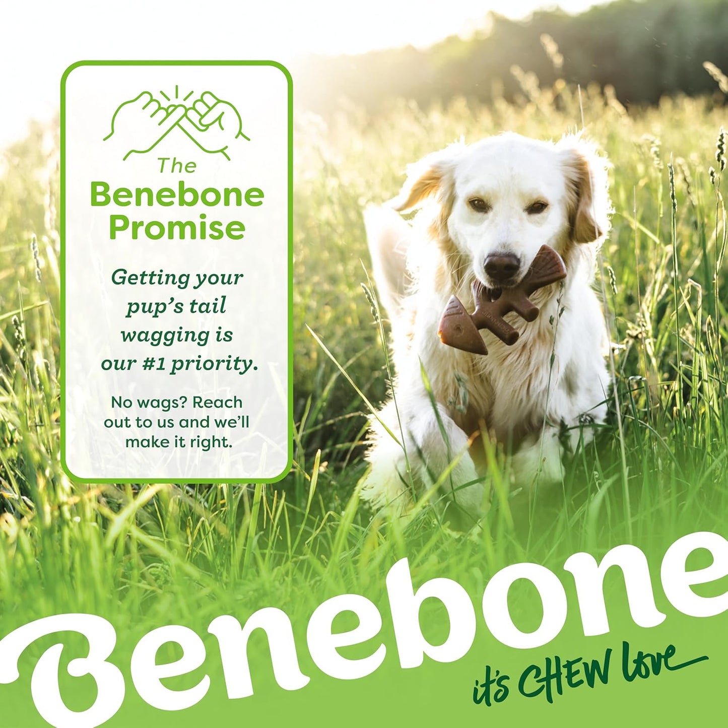 Benebone Medium 4-Pack Dog Chew Toys for Aggressive Chewers, Made in USA, small
