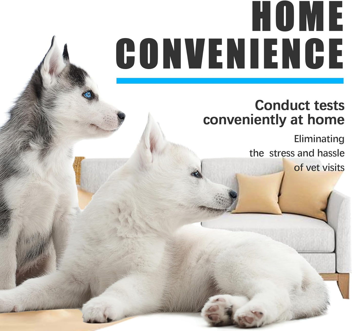 Dog Health Test Kit: 4 Comprehensive Detection Pet Test Strips for Dogs | Pets Rapid At-Home Detection Kits