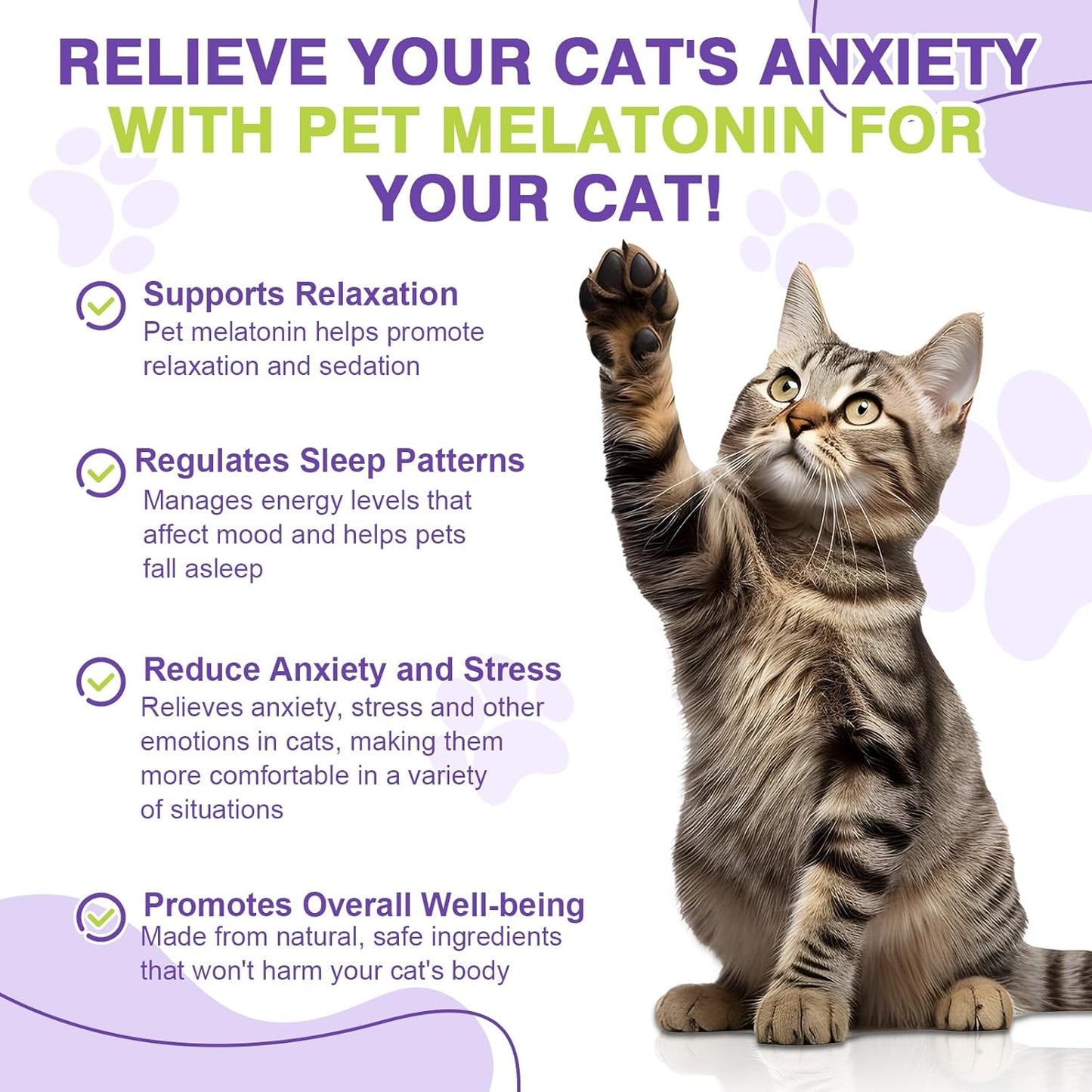 Cat Melatonin, Melatonin for Cats, Cat Tranquilizer to Anxiety Relief