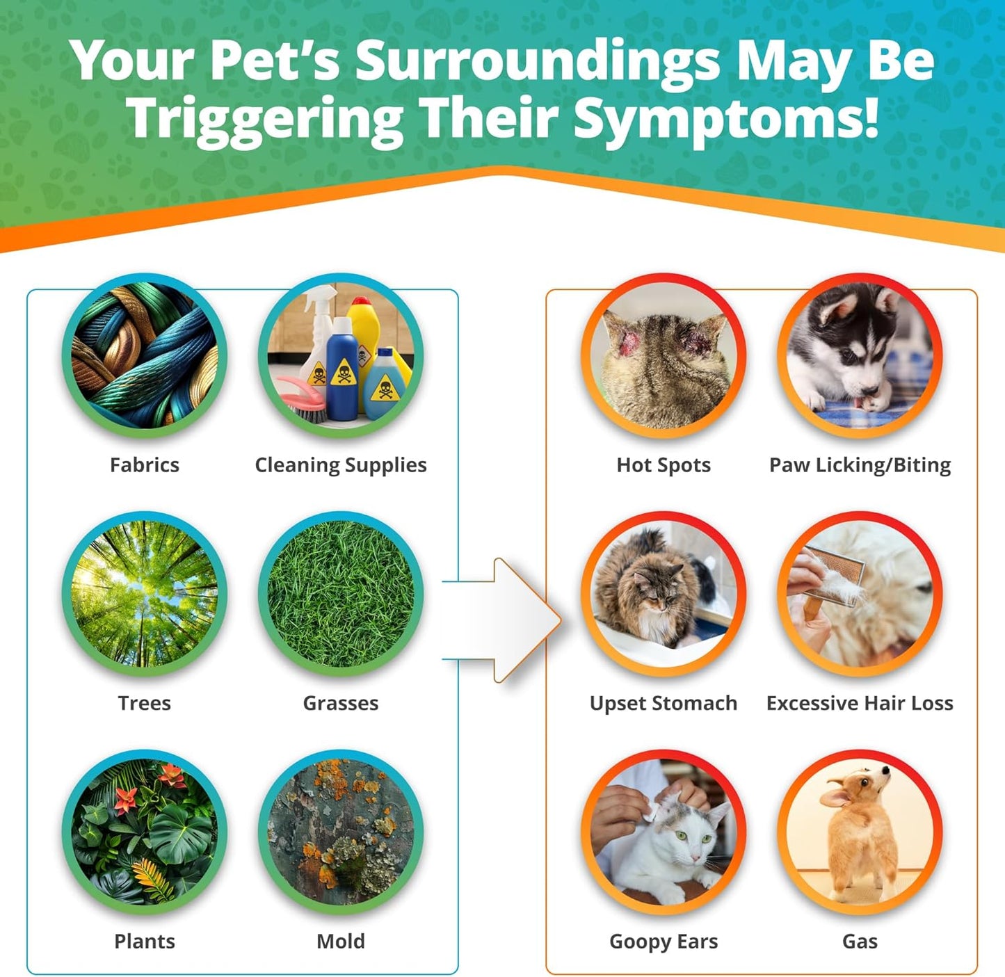5Strands Pet Environmental Intolerance Test, 123 Items Tested, at Home Sensitivity Test for Dogs & Cats