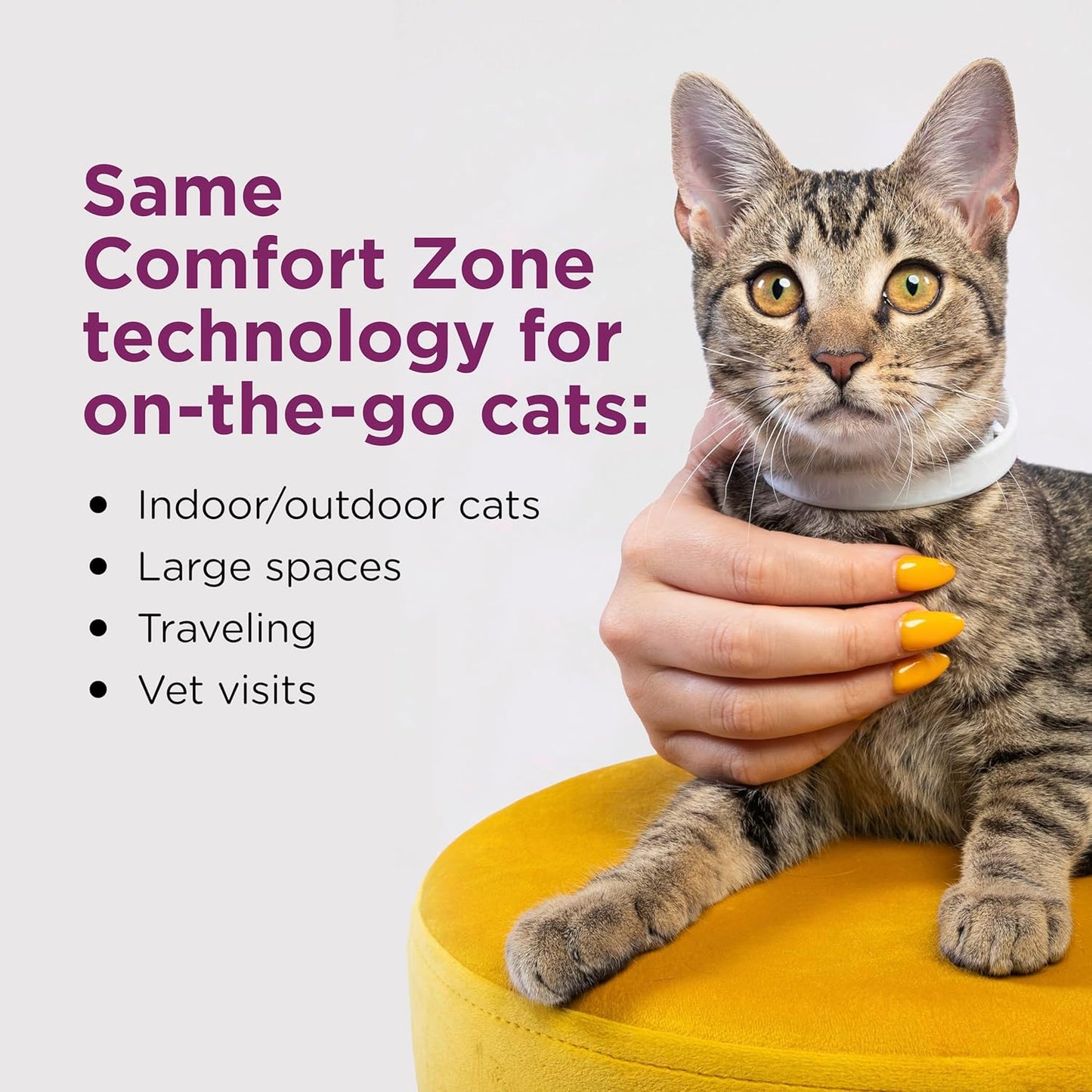 Comfort Zone Cat Calming Collar Savings Pack: 2 30-Day Calming Collars for 60 Days