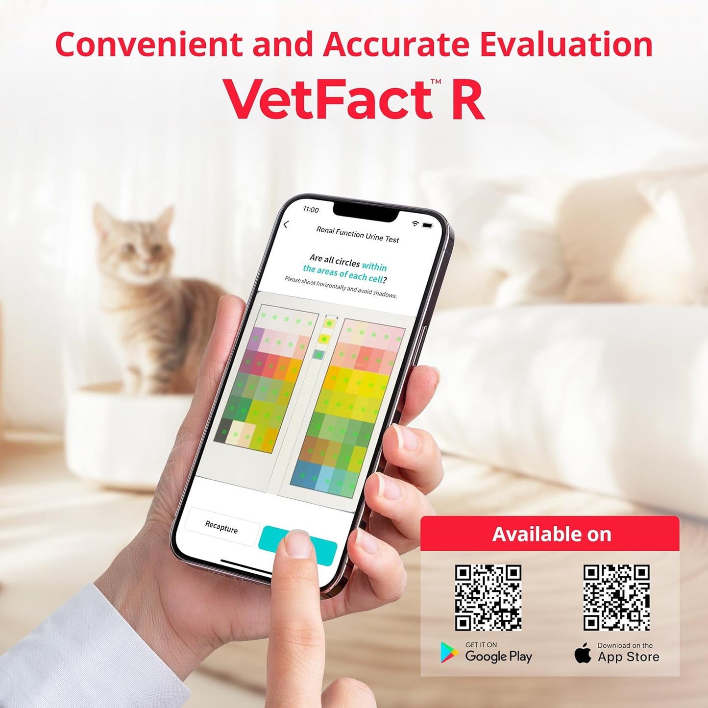 Urine Test Strips for Dogs & Cats, Renal Function Test at Home
