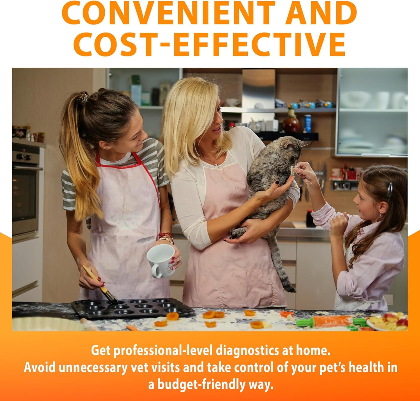 Feline/Cat HealthCheck 4-in-1 Test Kit ,Reliable Detection of Common Cats Illnesses ,Quick and Easy at-Home Testing