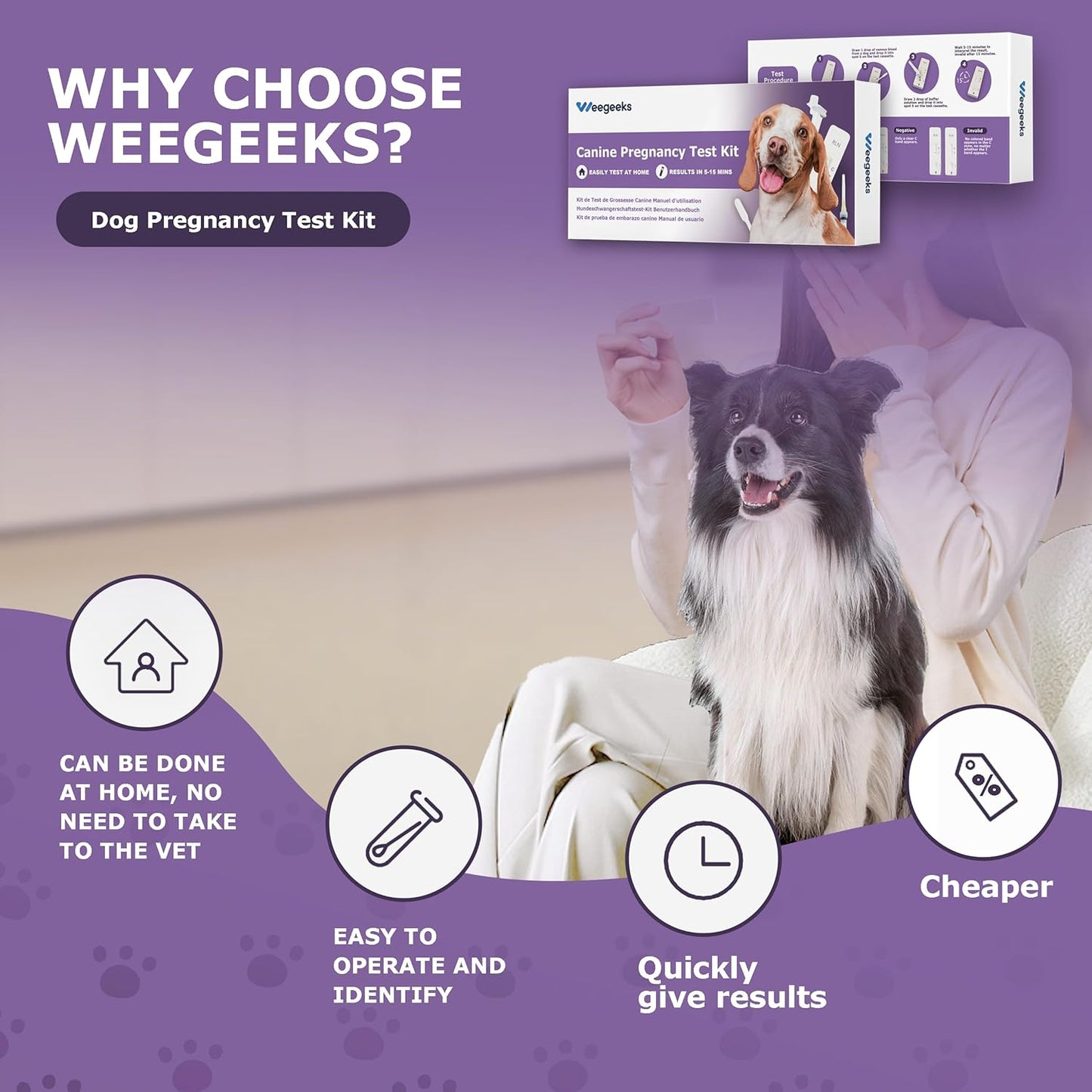 Dog Pregnancy Test Kit at Home