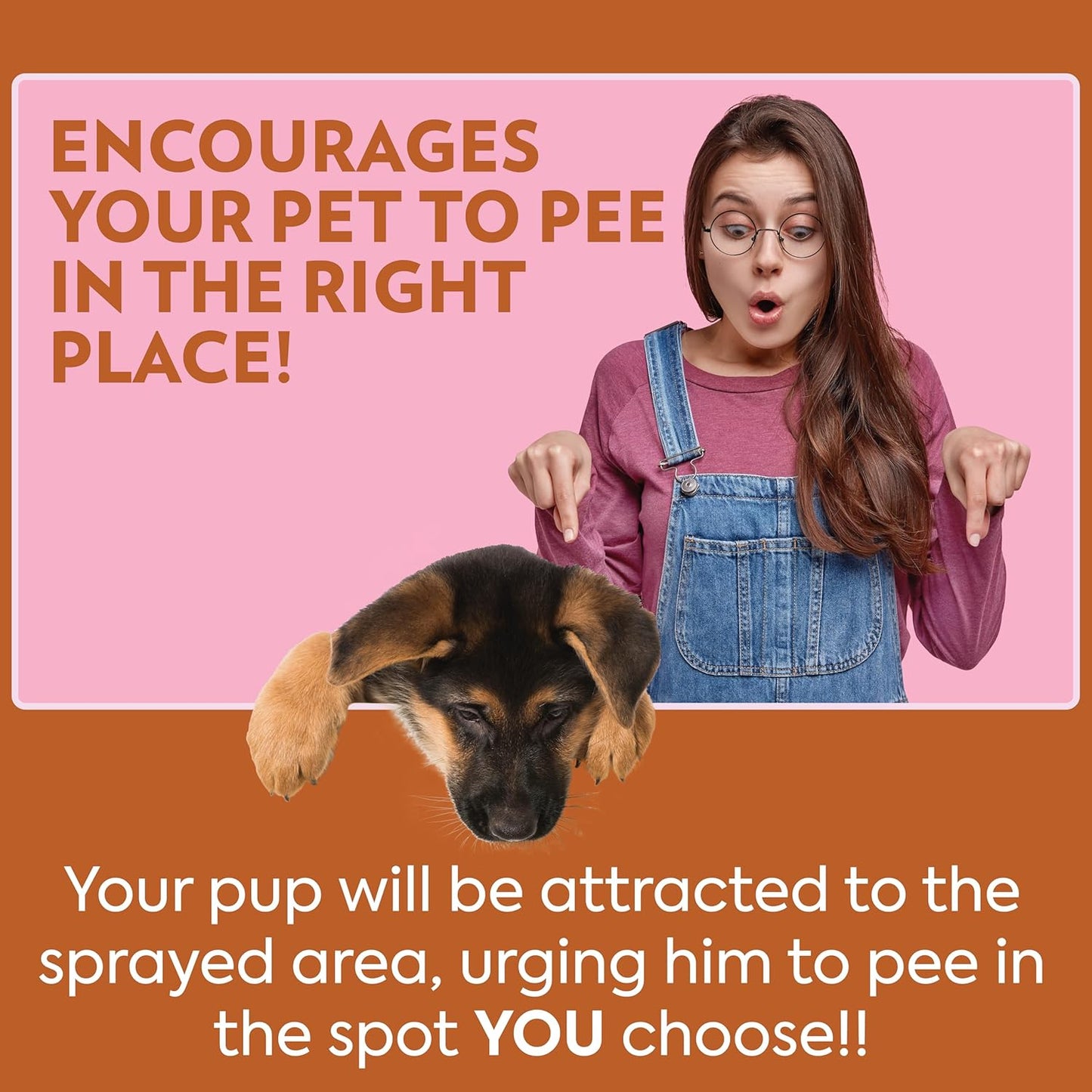 OUT! PetCare Go Here Attractant Indoor and Outdoor Dog Training Spray | House-Training Aid for Puppies and Dogs | 32 oz