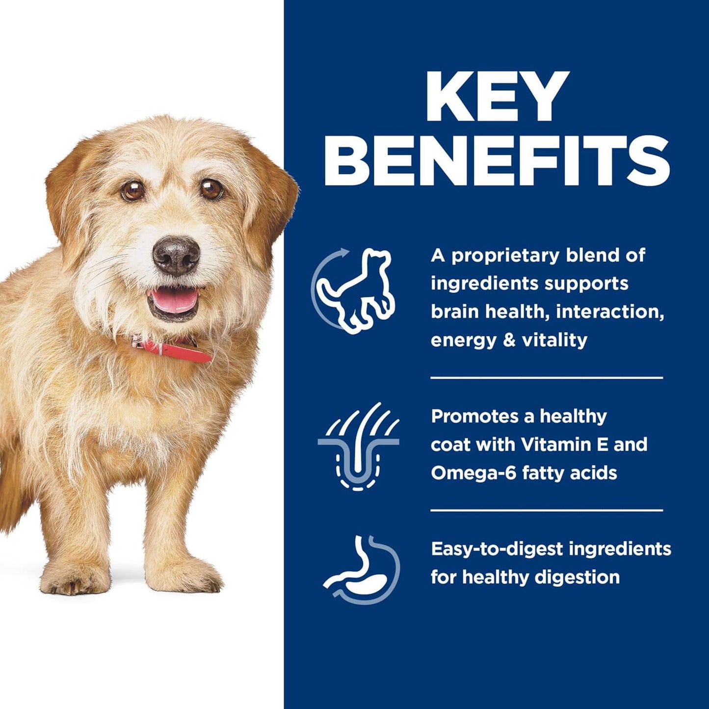 Hill's Science Diet Senior Vitality Adult 7+ Small and Mini, Chicken and Rice Recipe, Dry Dog Food for Older Dogs, 1.58kg Bag