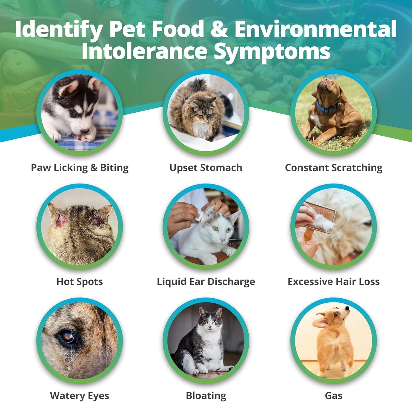 5Strands | Affordable Pet Test | 200 Food Ingredients & 100 Environmental Items Tested Cat & Dog | Allergy Sensitivity & Intolerance at Home Collection Test Kit | Hair Analysis | (Pet 300)