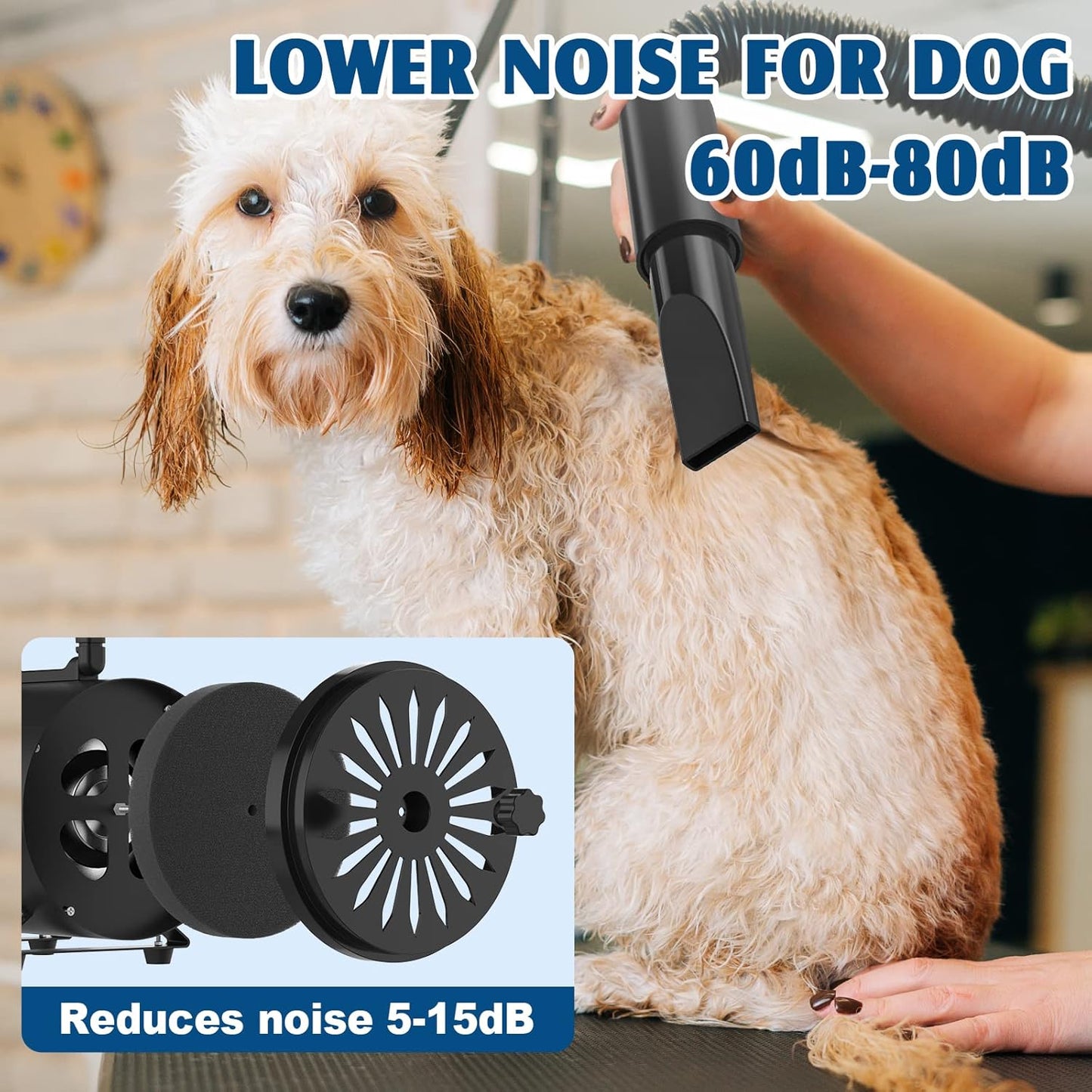 ADVWIN Pet Hair Dryer, High Velocity Dog Dryer with 4 Different Nozzles, Pet Grooming Blow Dryer Heater with Adjustable Speed, Black
