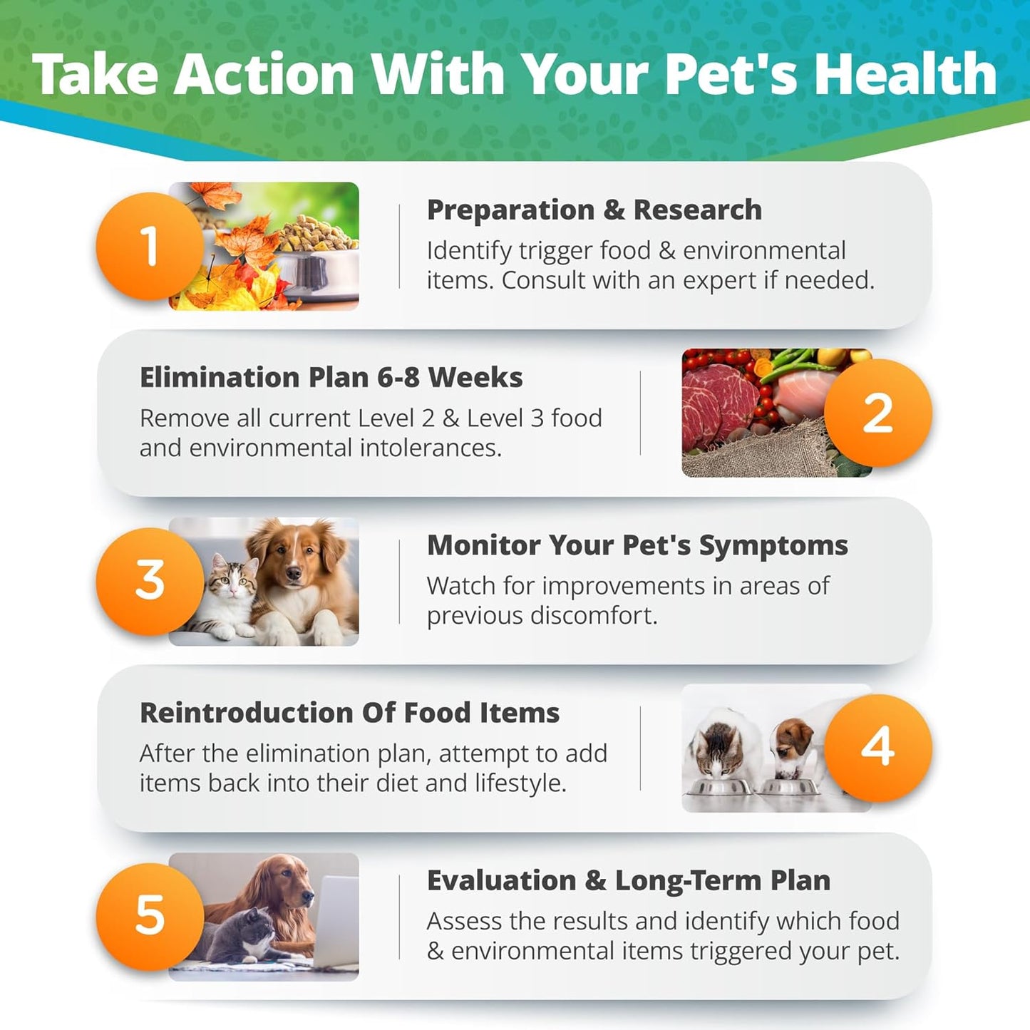 5Strands | Affordable Pet Test | 200 Food Ingredients & 100 Environmental Items Tested Cat & Dog | Allergy Sensitivity & Intolerance at Home Collection Test Kit | Hair Analysis | (Pet 300)