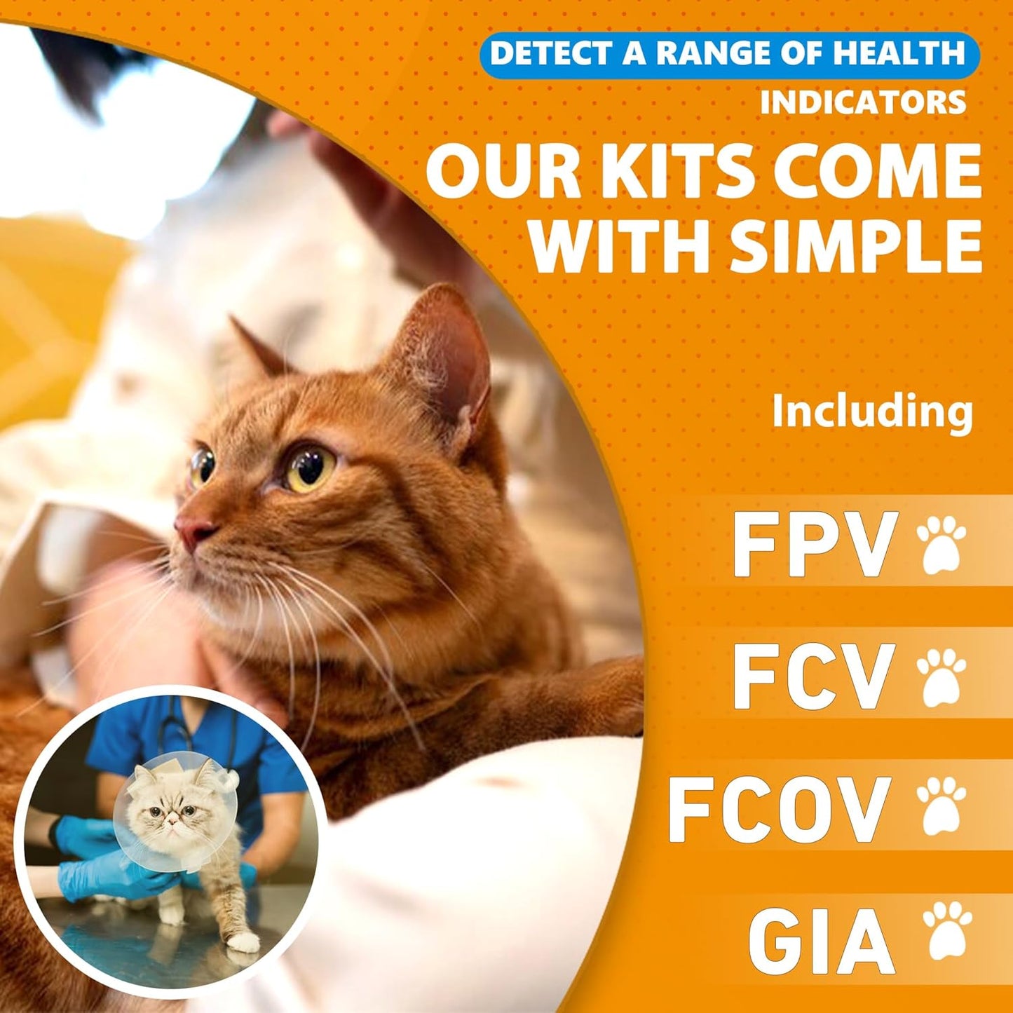 Feline/Cat HealthCheck 4-in-1 Test Kit ,Reliable Detection of Common Cats Illnesses ,Quick and Easy at-Home Testing