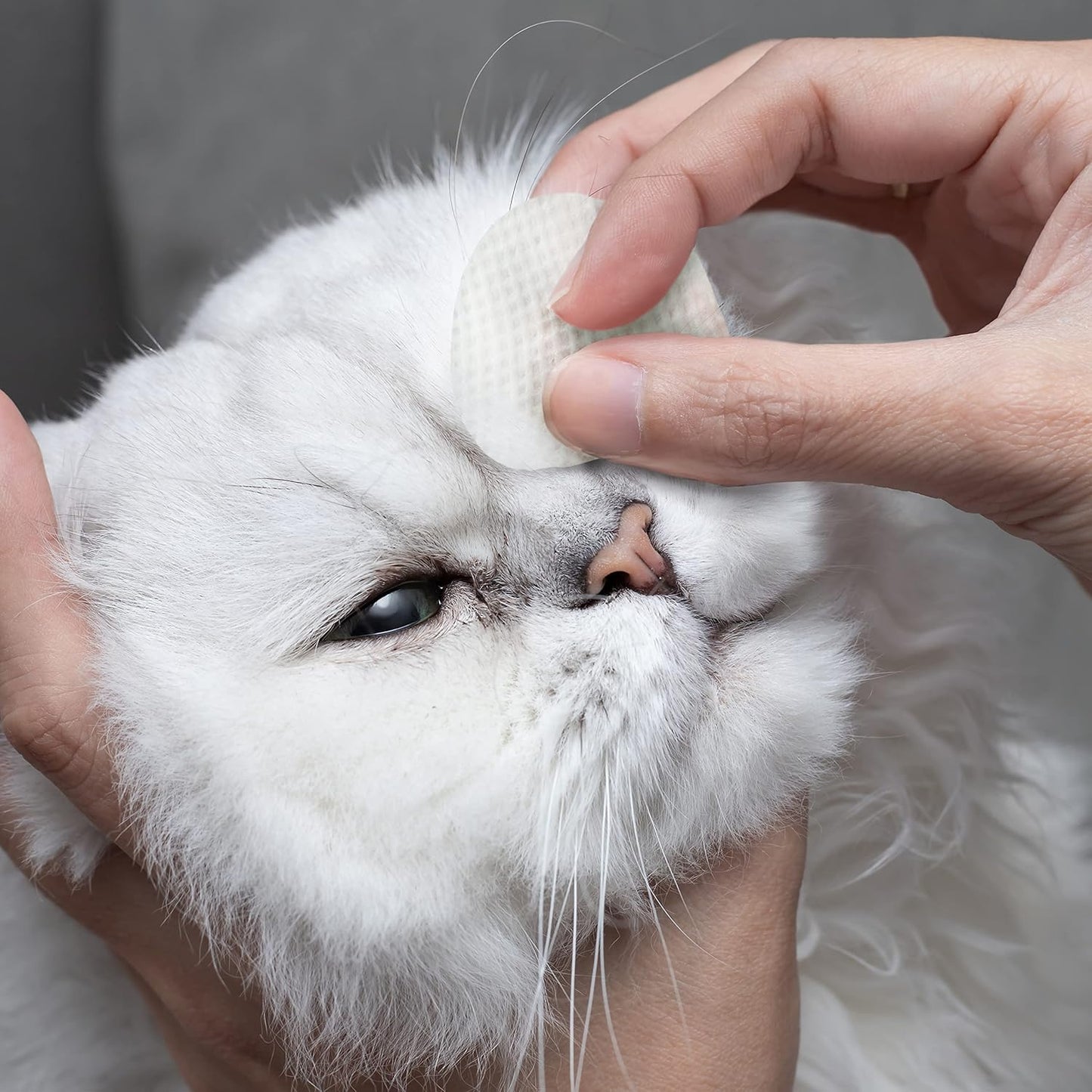 Eye Envy Tear Stain Wipes for CatS,100% Natural Formula,USA Made. 60 Wipes