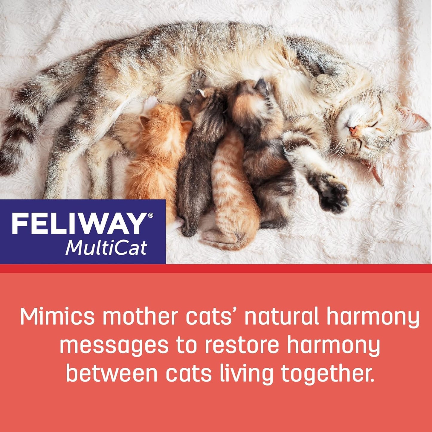 FELIWAY® MultiCat 3 x 30 Day Cat Calming Refills for Pheromone Diffuser, 3 x 48ml