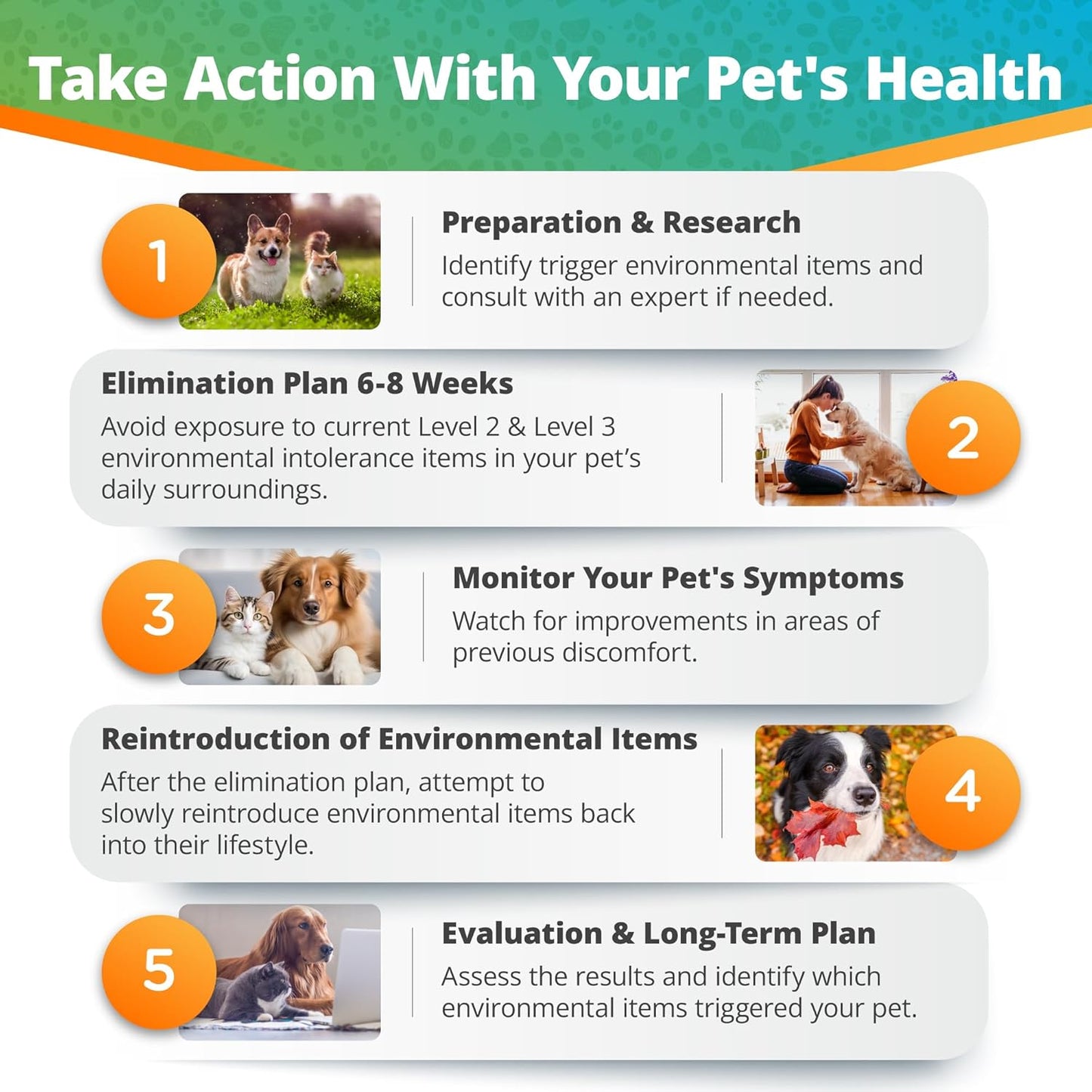 5Strands Pet Environmental Intolerance Test, 123 Items Tested, at Home Sensitivity Test for Dogs & Cats