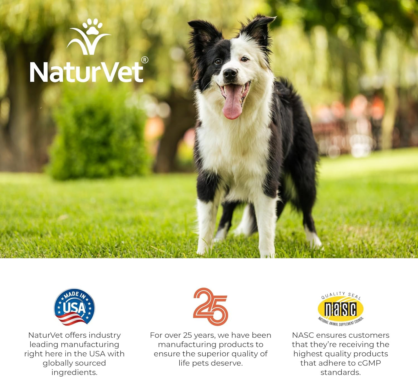 NaturVet Digestive Enzymes Plus Probiotic for Dogs, 120 ct Soft Chews, Made in USA