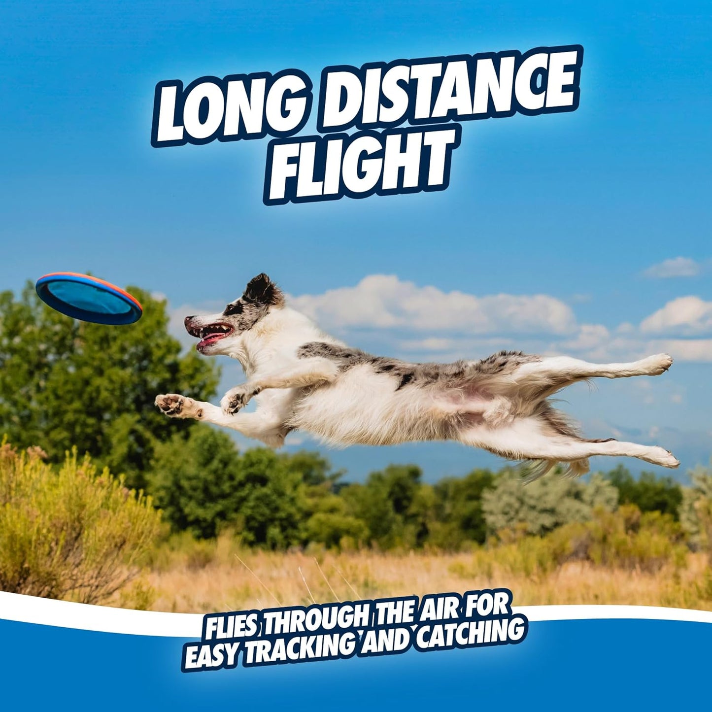 ChuckIt! Paraflight Flyer Dog Toy, Large (Orange/Blue)