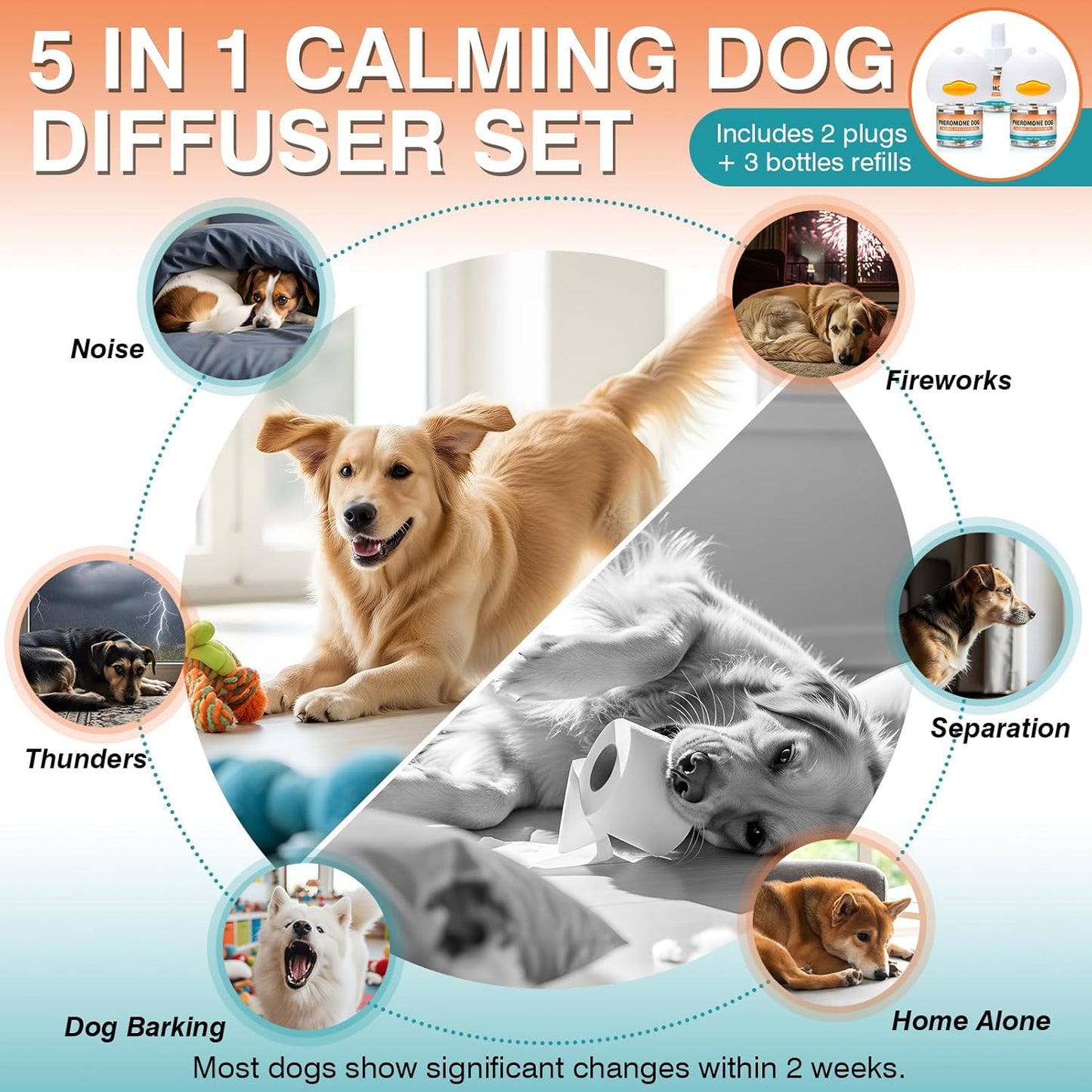 Dog Calming Pheromones Diffuser to Calm Pet 5 In 1 Advanced Kit (Tasteless)