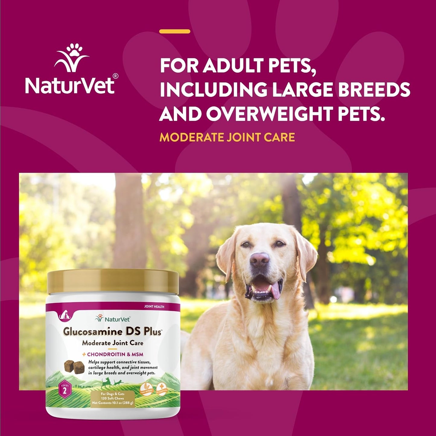NaturVet Glucosamine DS Plus Level 2 Moderate Joint Care for Dogs and Cats, 120 ct Soft Chews, Made in USA