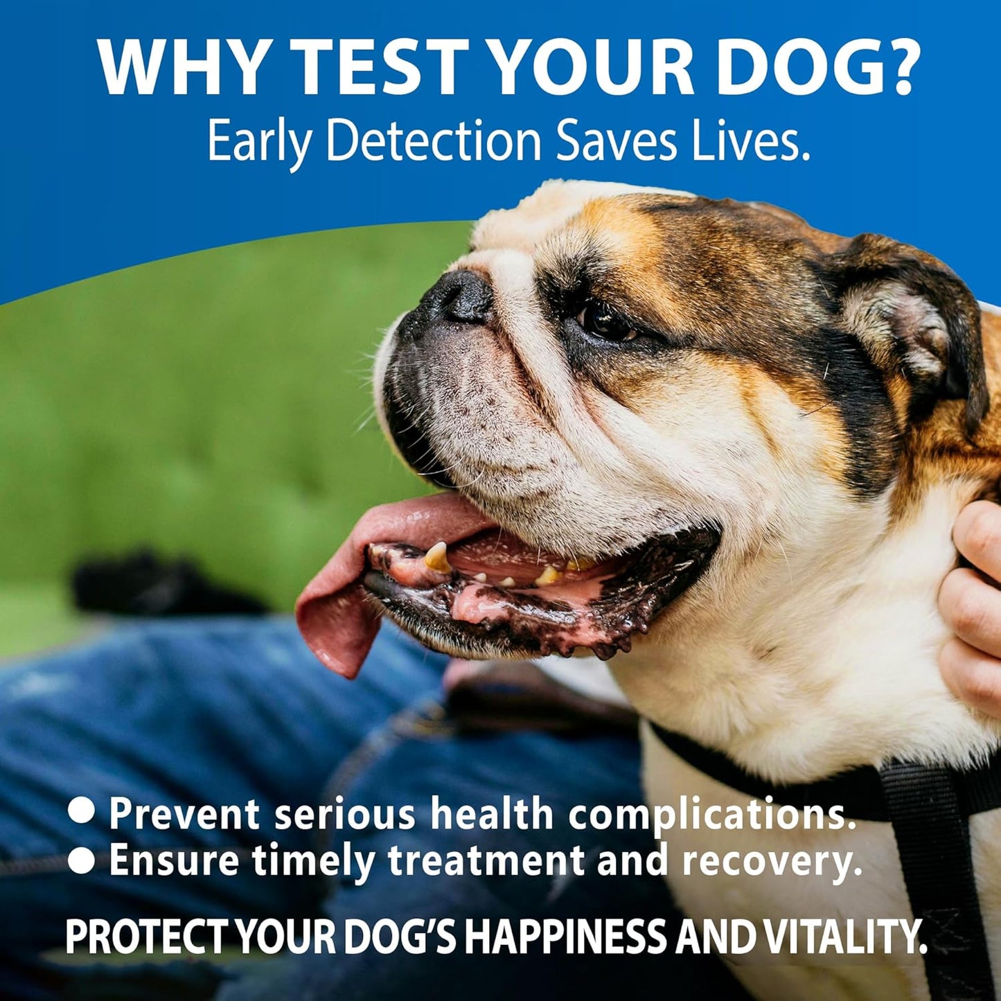 Canine/Dog HealthCheck 4-in-1 Test Kit ,Reliable Detection of Common Canine Illnesses