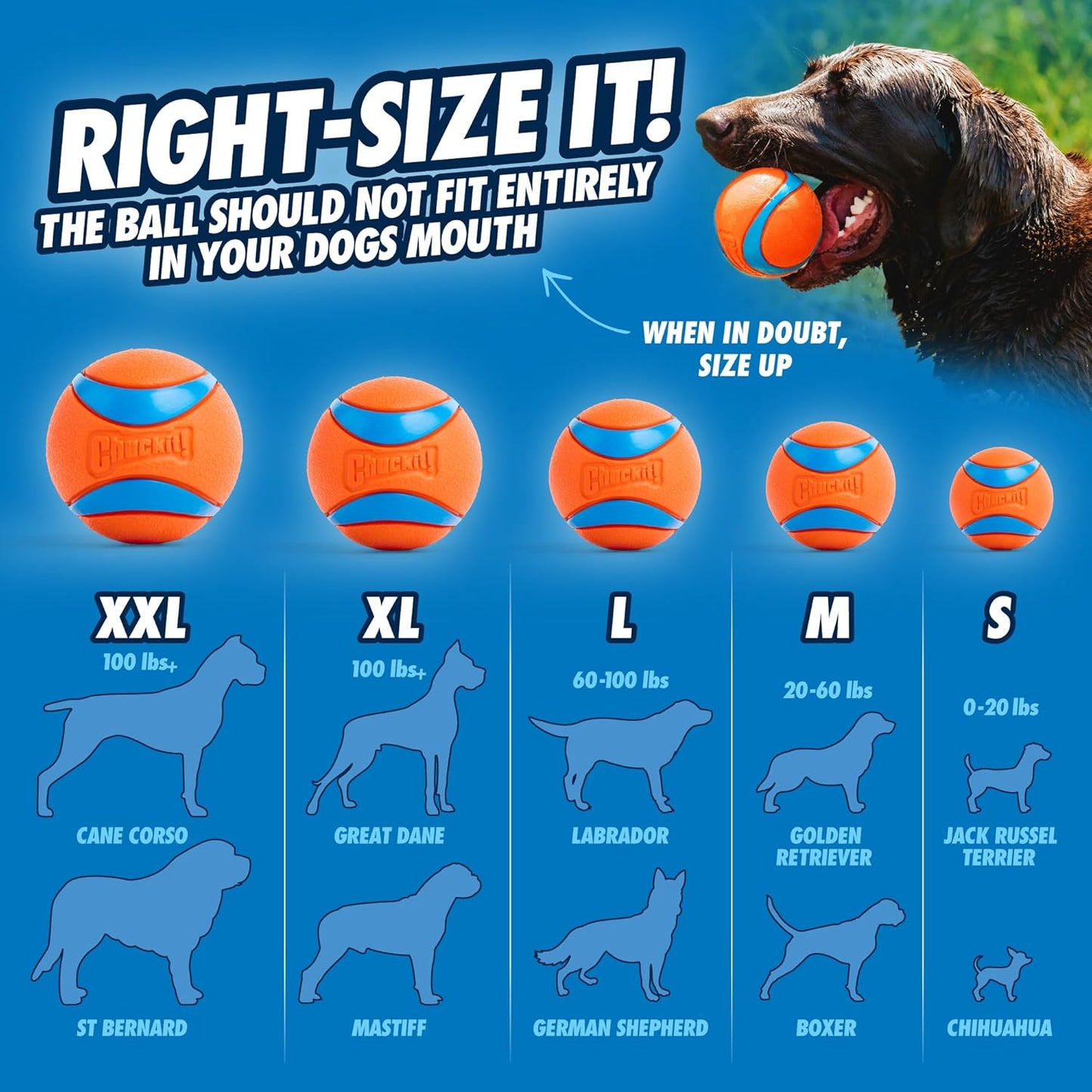 ChuckIt! Sport 26L Dog Ball Launcher, 26" Length, Includes Large Ball (3") for Dogs 60-100 Pounds