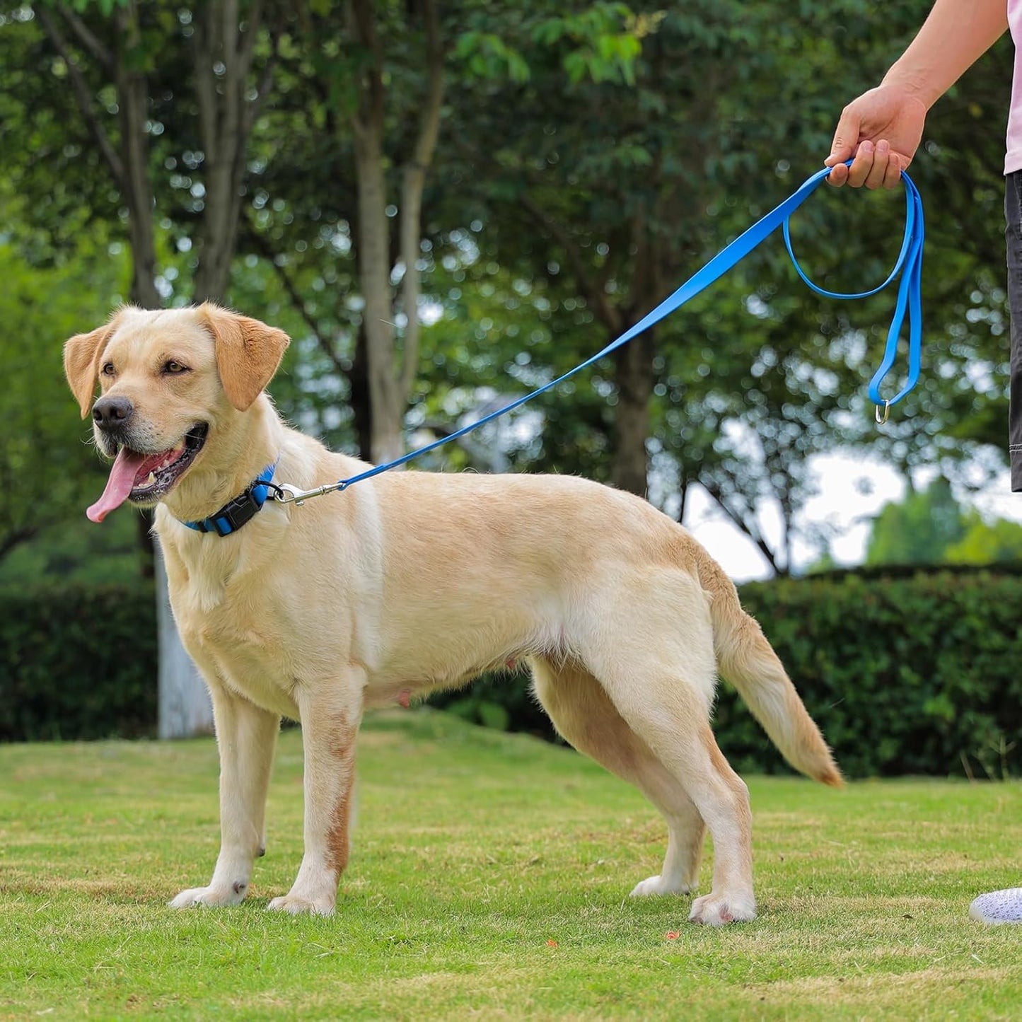 Waterproof Dog Collar, Easy Clean Rubber Quick Release Collar, Fits Small, Medium or Large Dogs