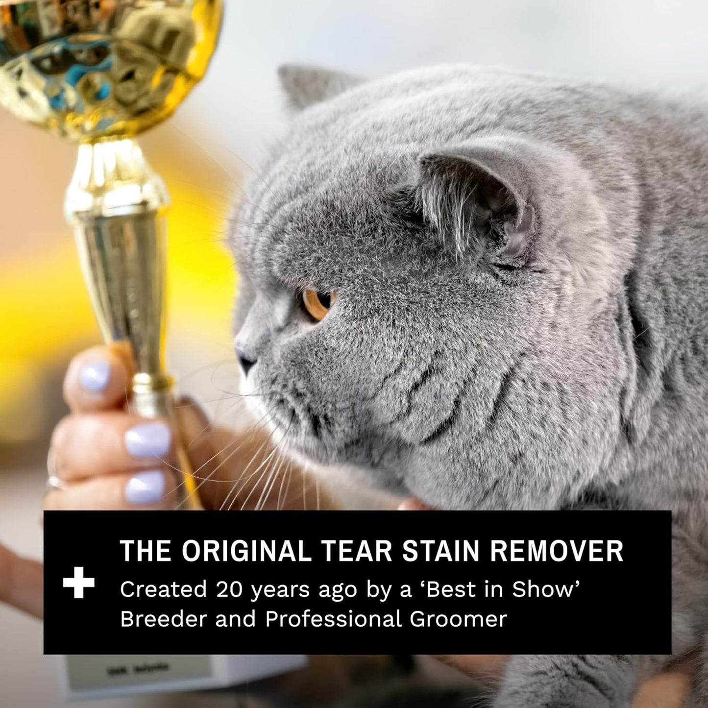 Eye Envy Cat Tear Stain Remover Starter Kit with ProPowder Brush