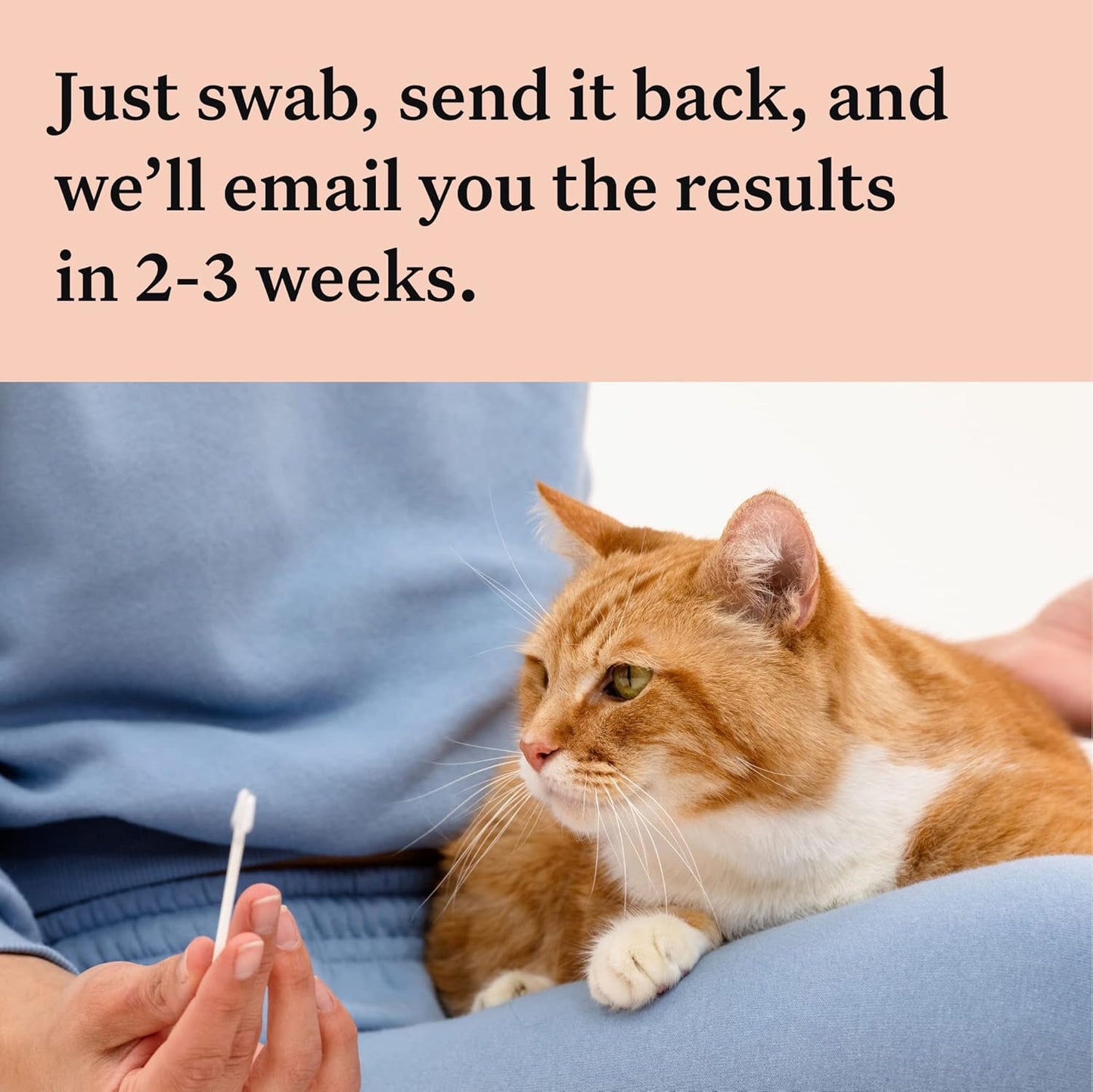 Wisdom Panel Complete: Comprehensive Cat DNA Test