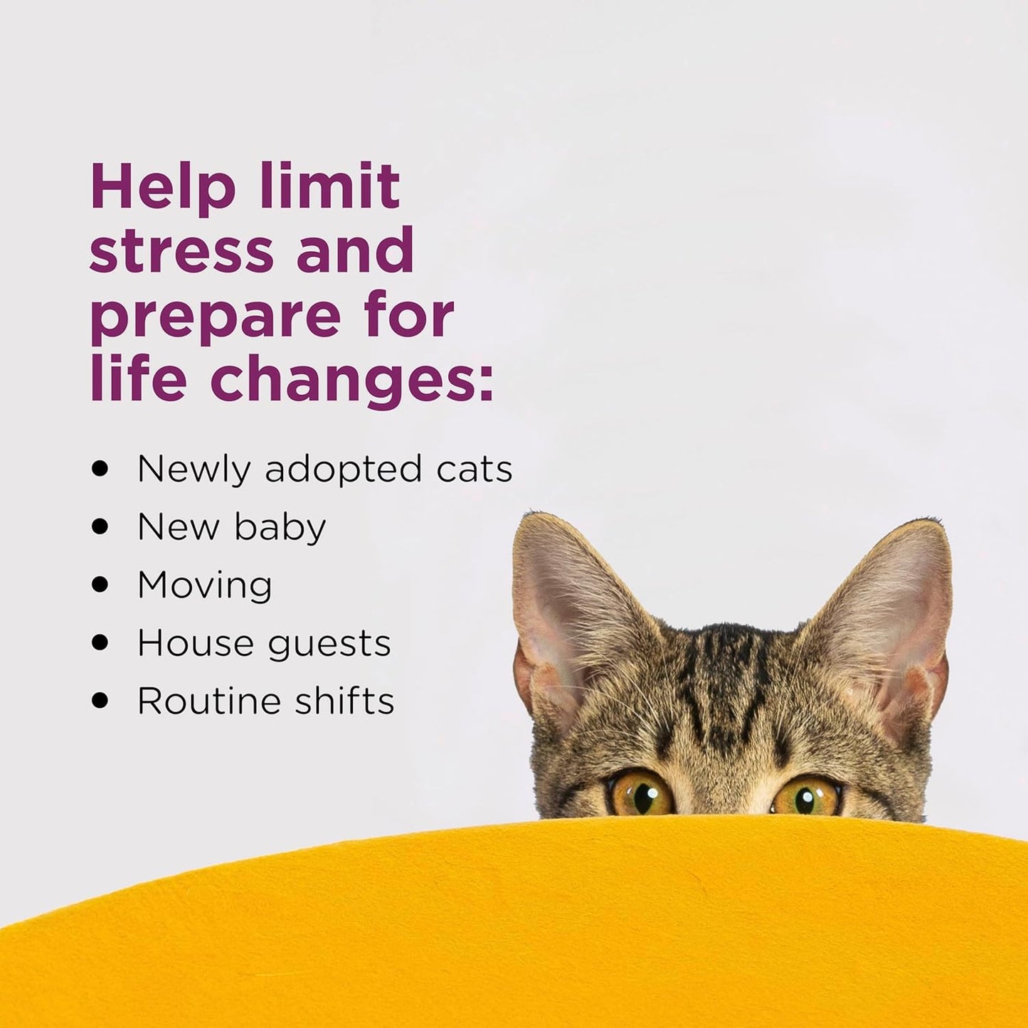 Comfort Zone 2 Pack Cat Calming Diffuser Refills; 30-day Refills