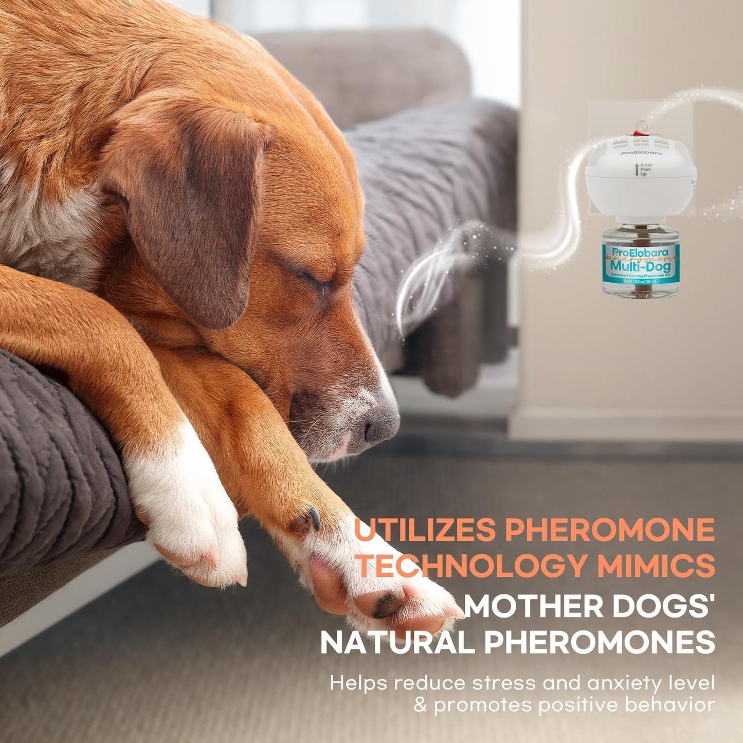 Dog Calming Pheromone Plug Diffuser: Dog Calming Pheromones Diffuser - Calm Dogs 60 Supply