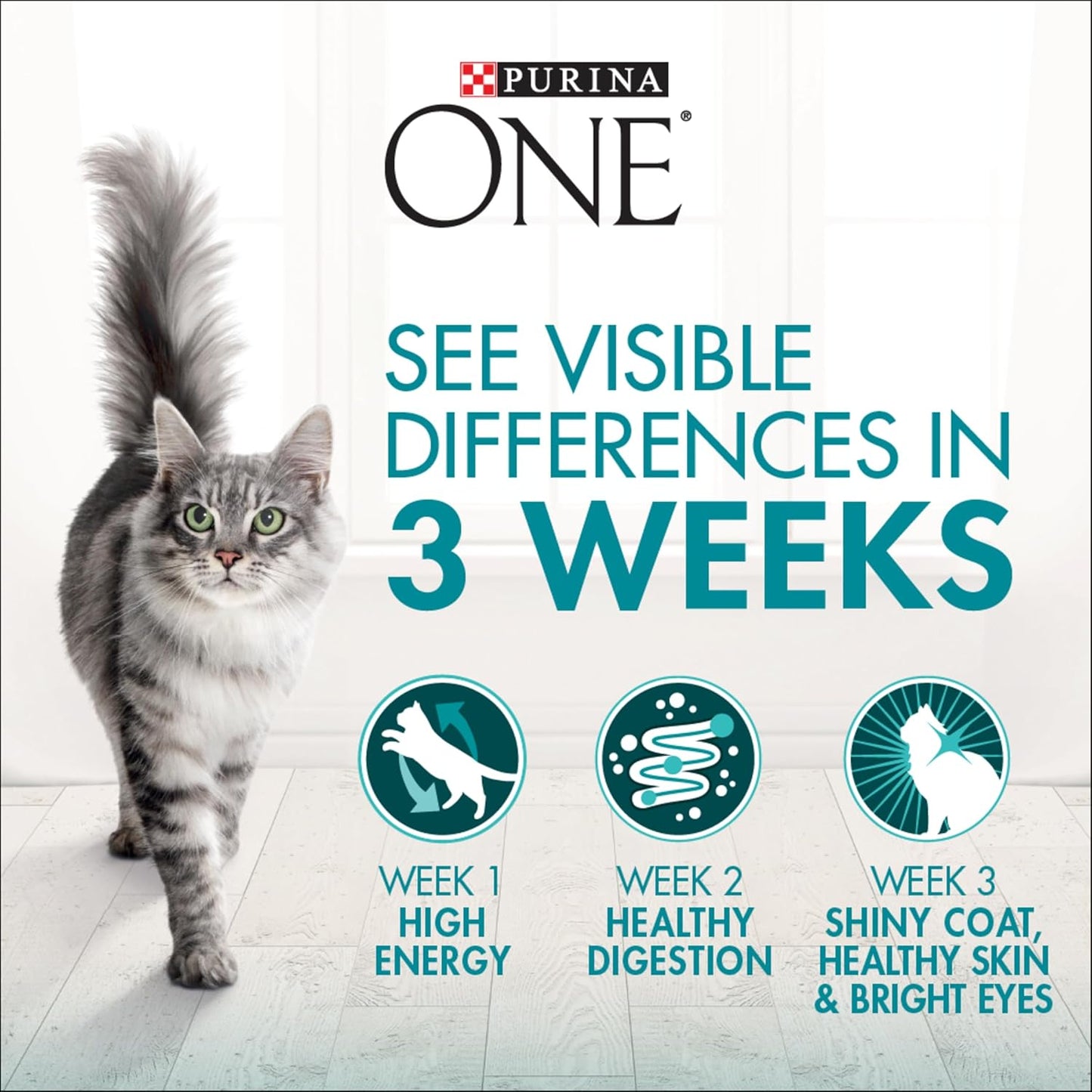 PURINA ONE Adult Wet Cat Food Indoor Chicken in Gravy Pouch 12x70g