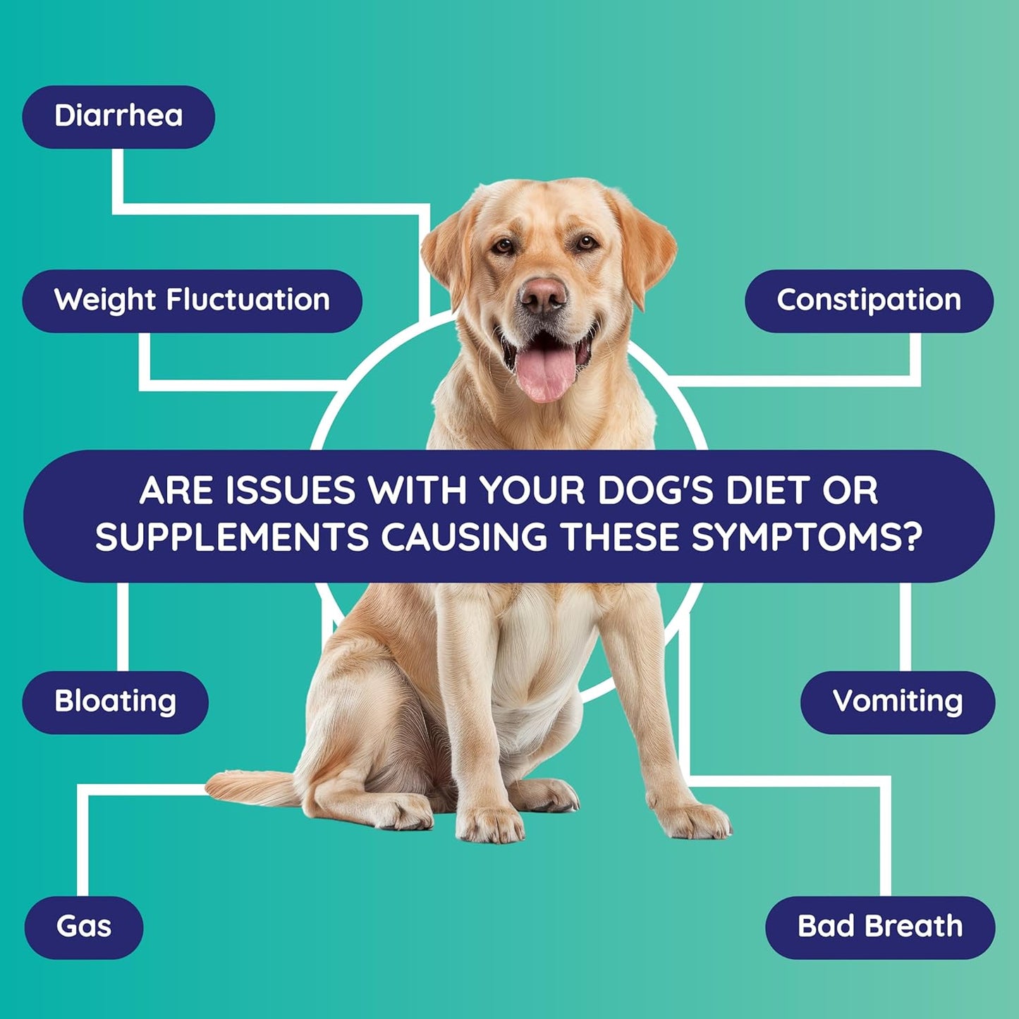Dog Digestion & Detox Gut Test Kit – for Weight Loss, Gas, Bad Breath for Digestive & Microbiome Analysis - Non-Invasive & Fast Results – Vet Trusted - Easy at-Home Stool Test