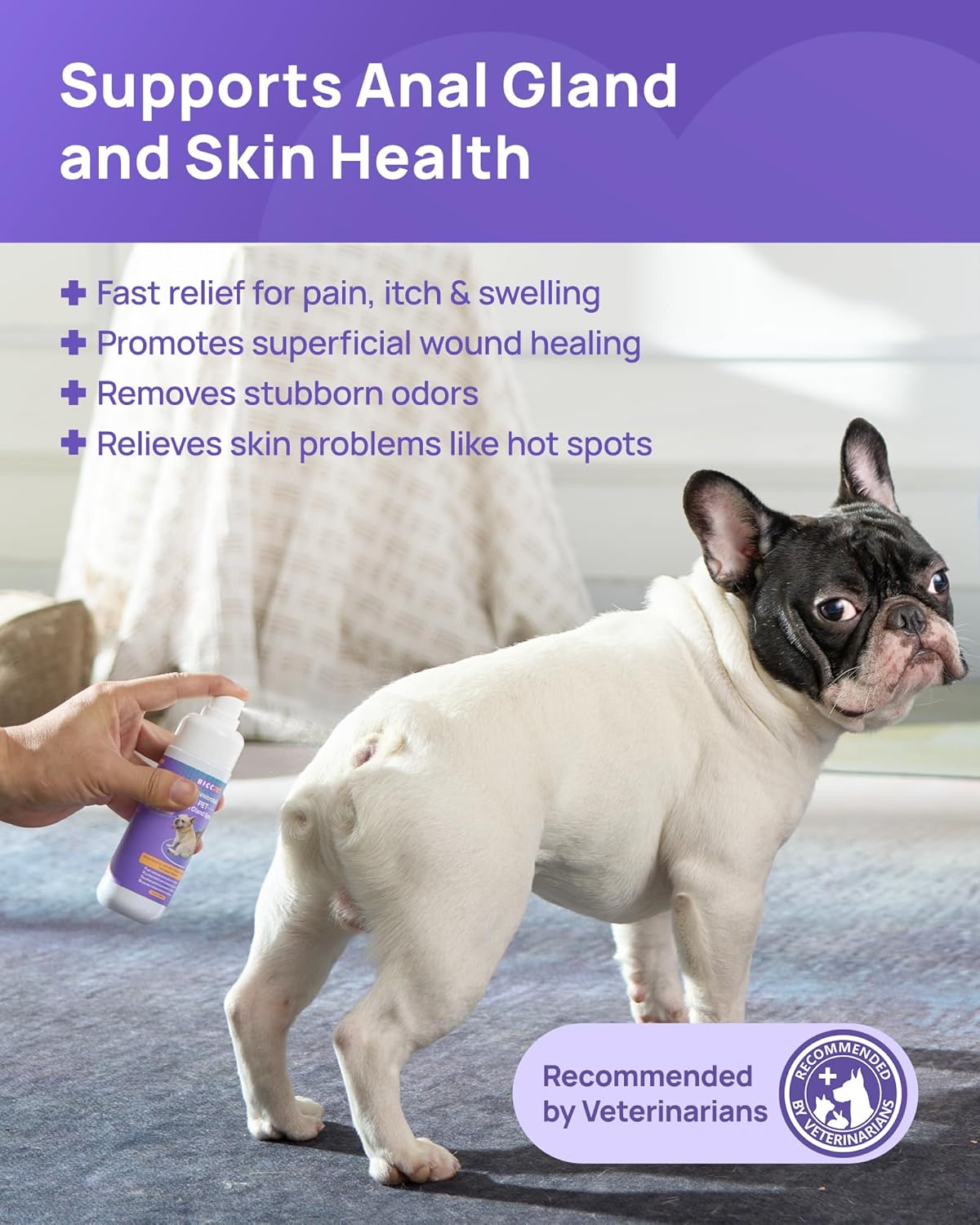 HICC PET Anal Gland Spray 4 oz, Hot Spot Spray Treatment for Dogs & Cats, Dog Anti Itch Spray